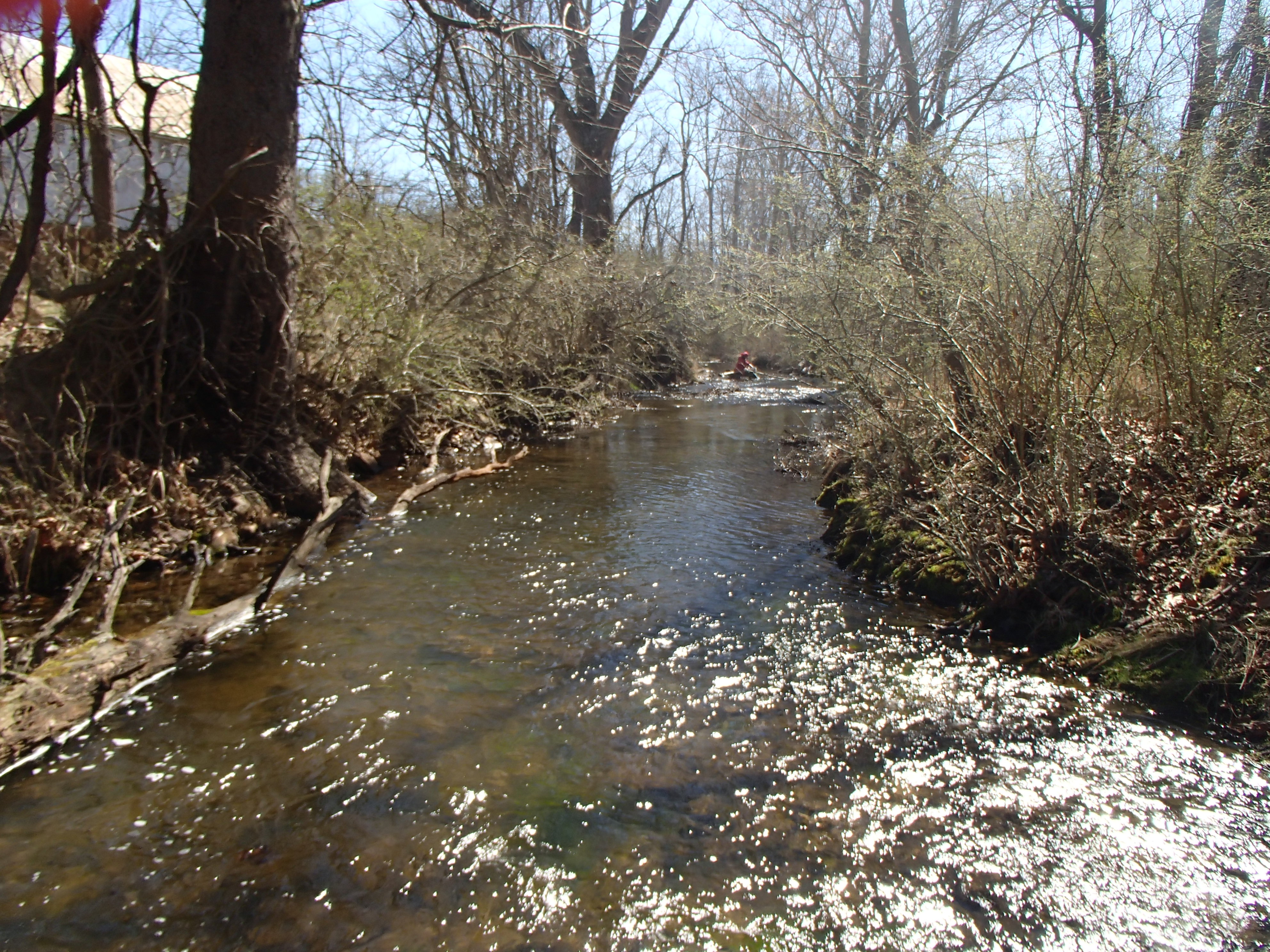 Field photo showing stream conditions at site SBPA-205-X-2017-MidpointFacingDownstream