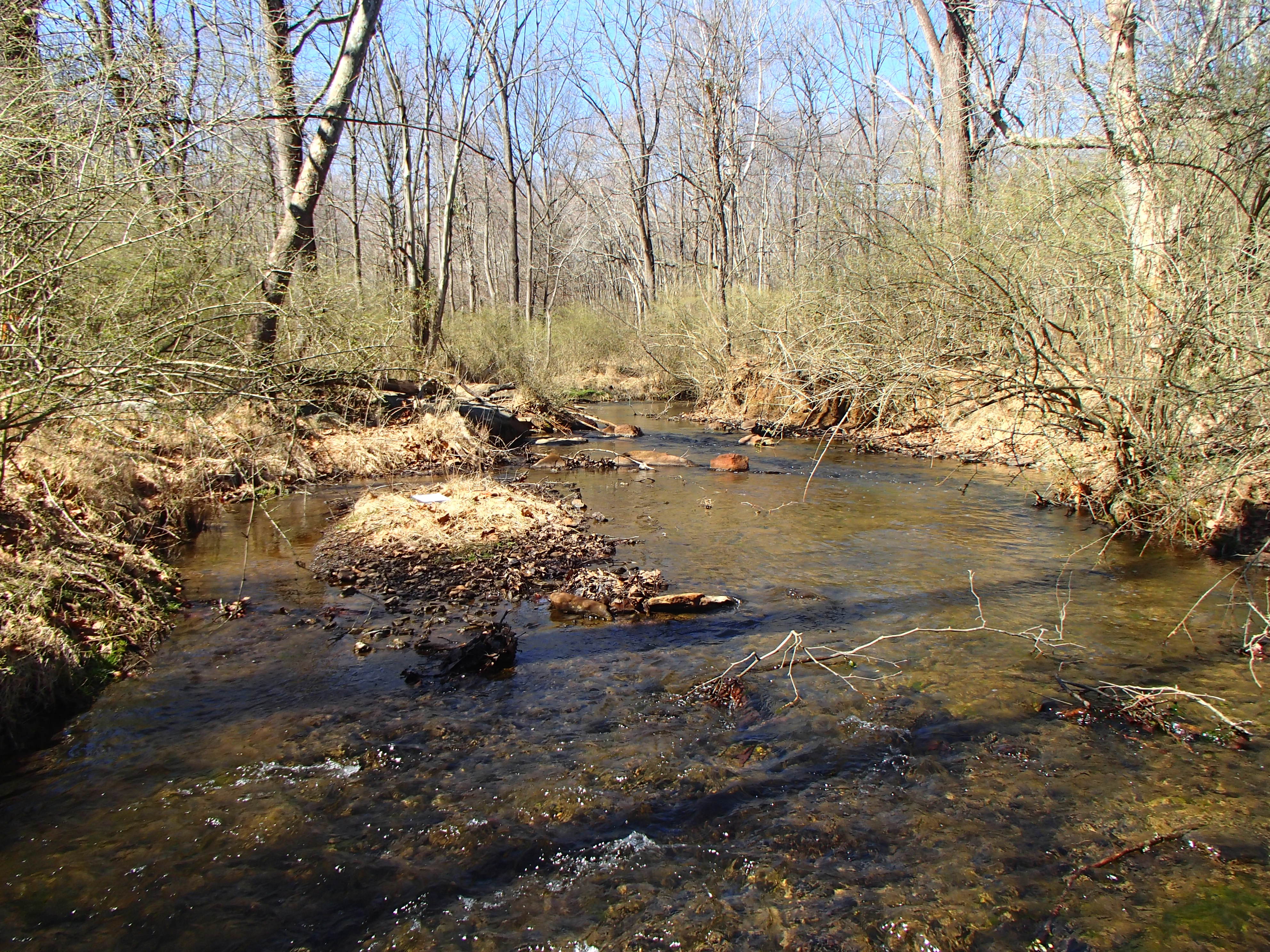 Field photo showing stream conditions at site SBPA-205-X-2017-MidpointFacingUpstream