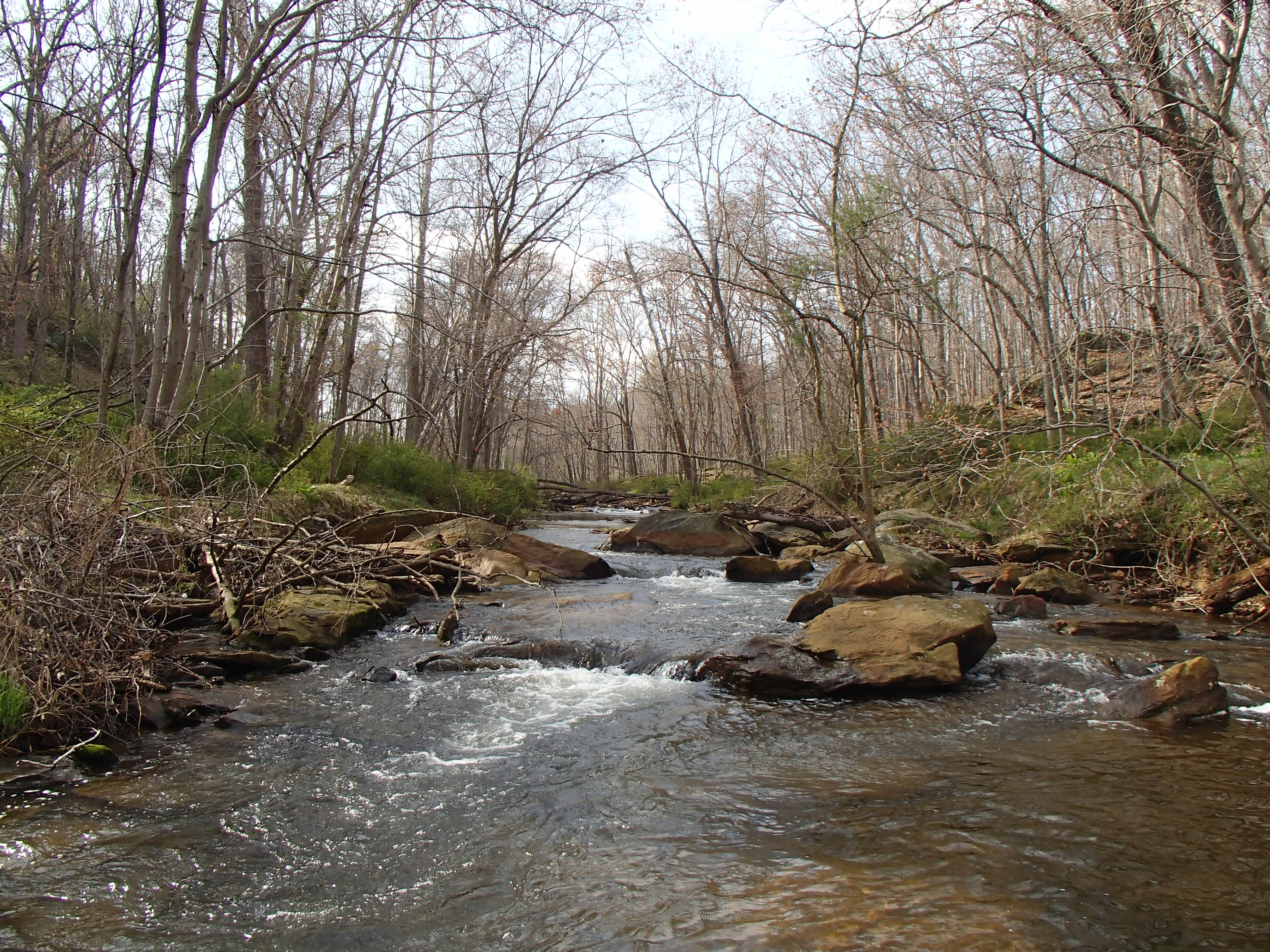 Field photo showing stream conditions at site SBPA-206-X-2014-1