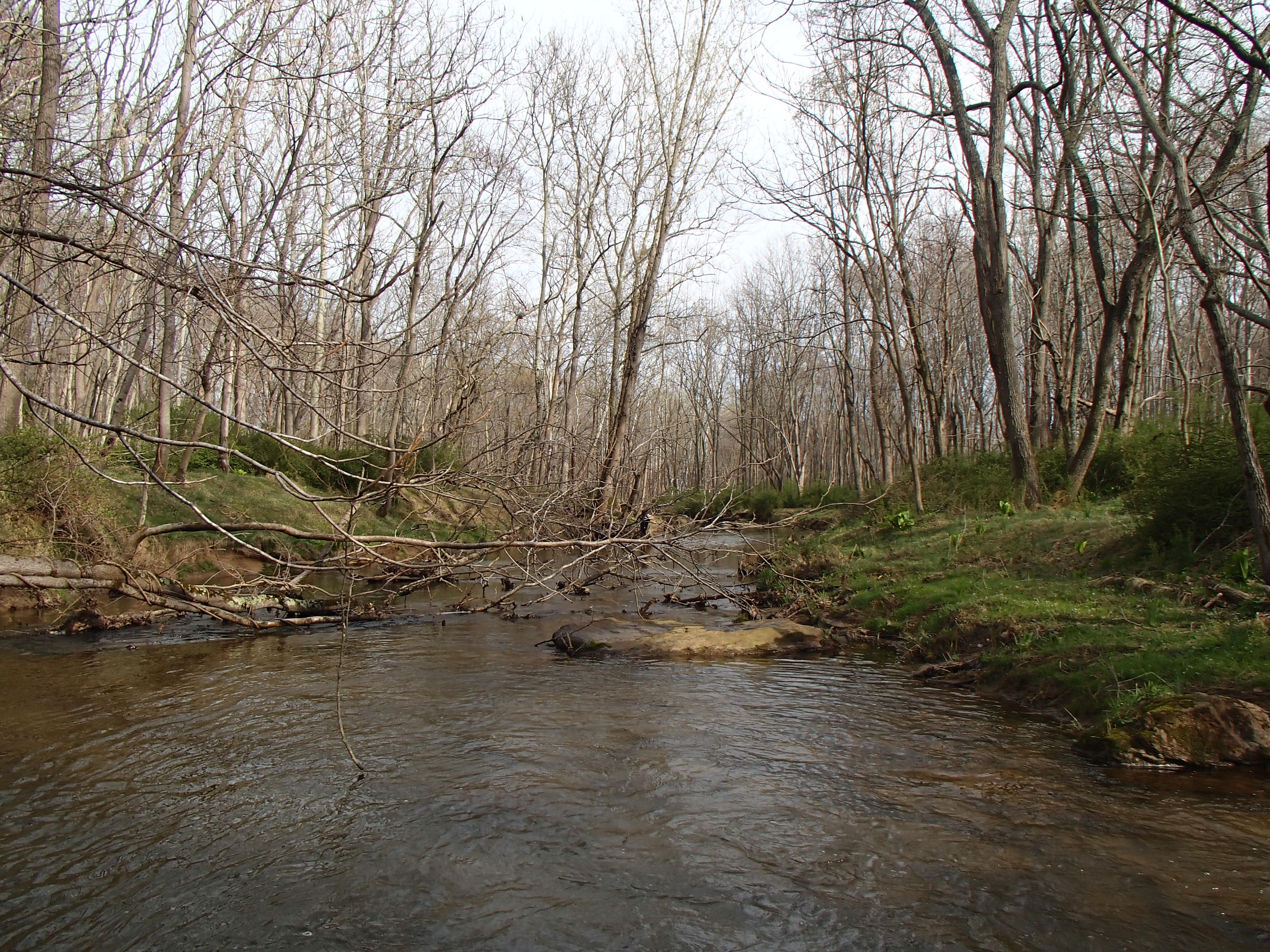 Field photo showing stream conditions at site SBPA-206-X-2014-2