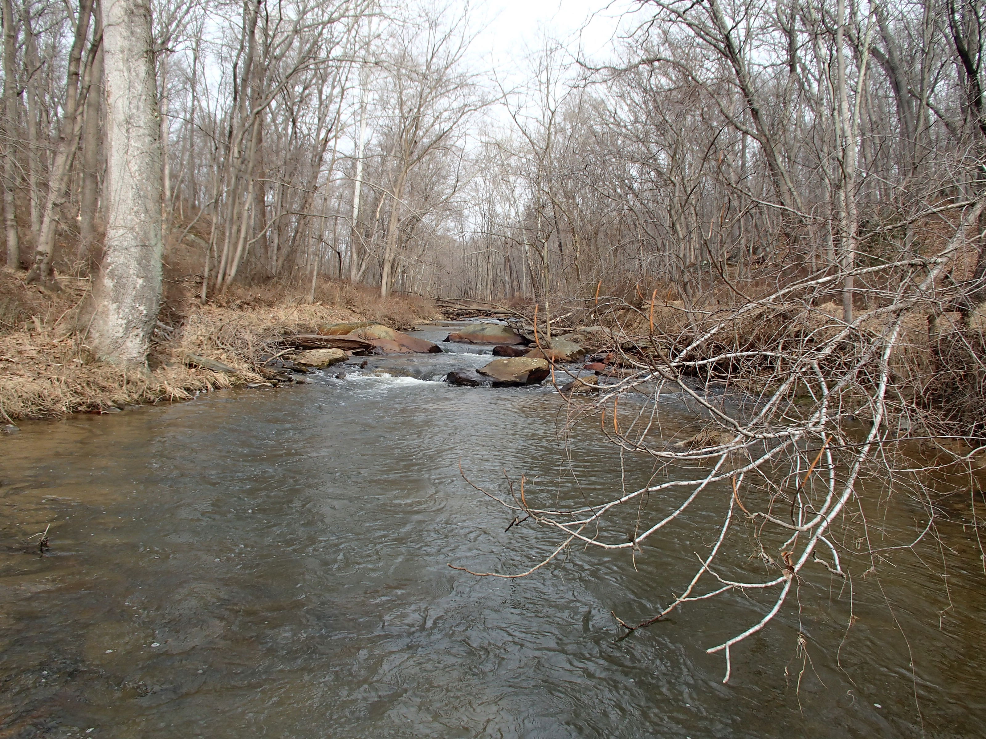 Field photo showing stream conditions at site SBPA-206-X-2015_Midpoint-looking-downstream