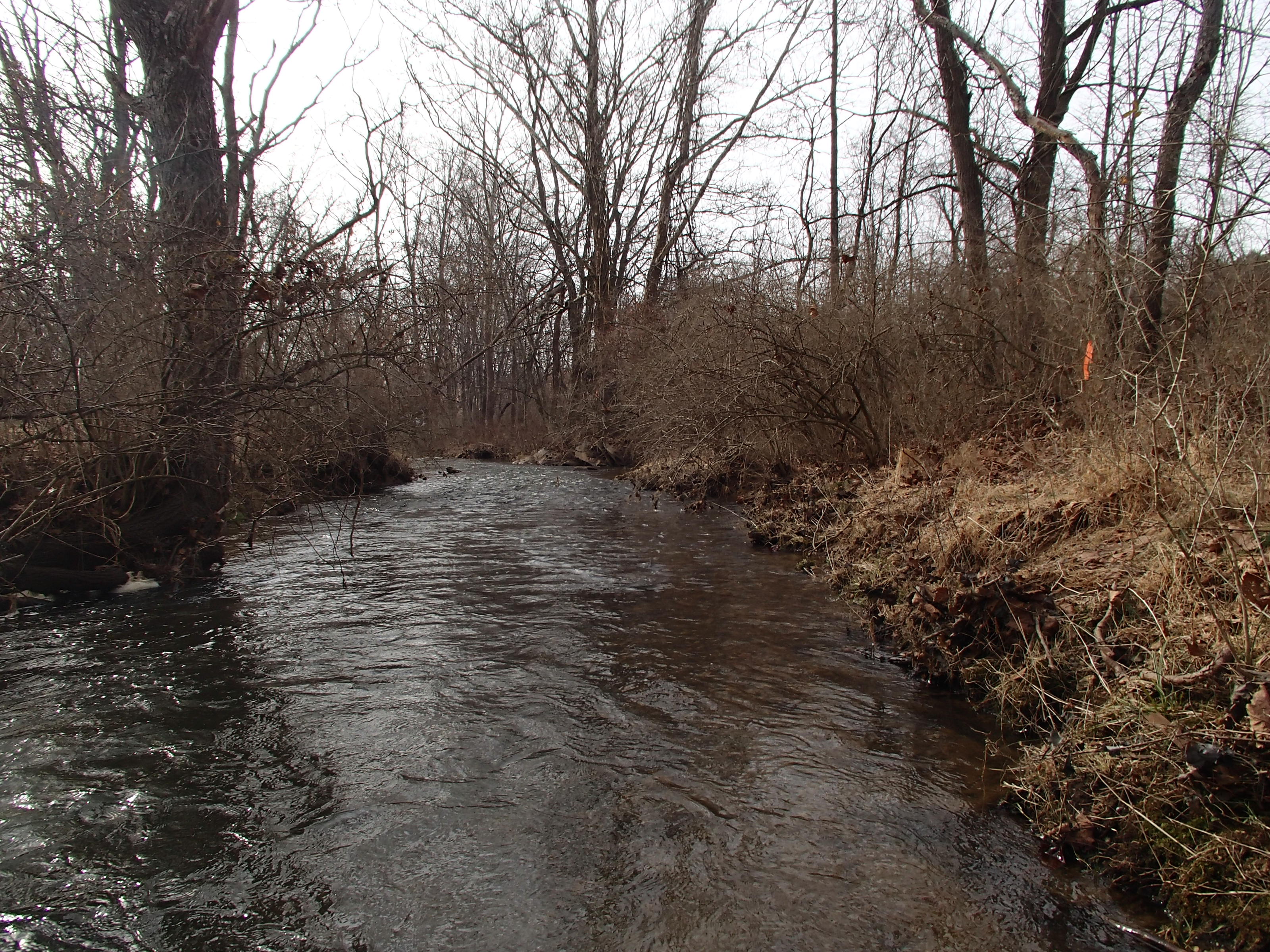 Field photo showing stream conditions at site SBPA-206-X-2015_Midpoint-looking-upstream