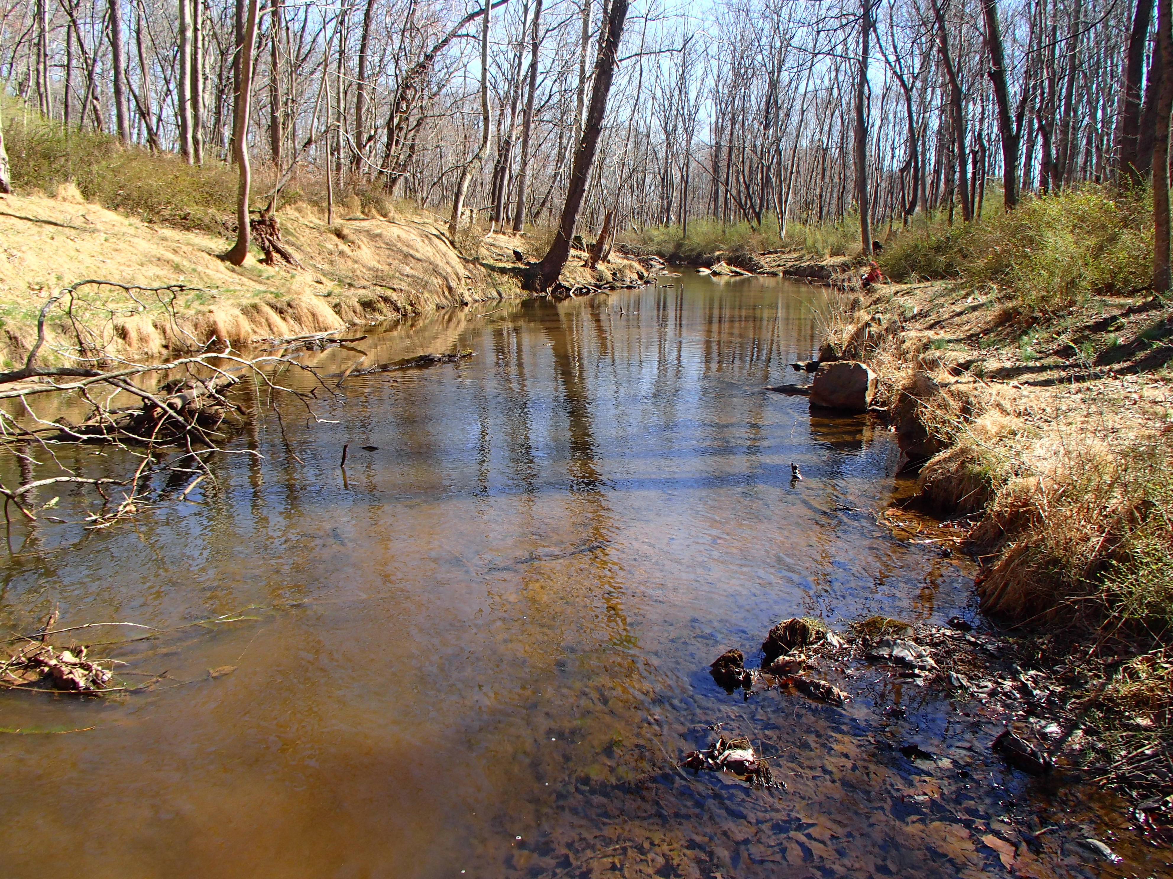 Field photo showing stream conditions at site SBPA-206-X-2017-MidpointLookingDownstream