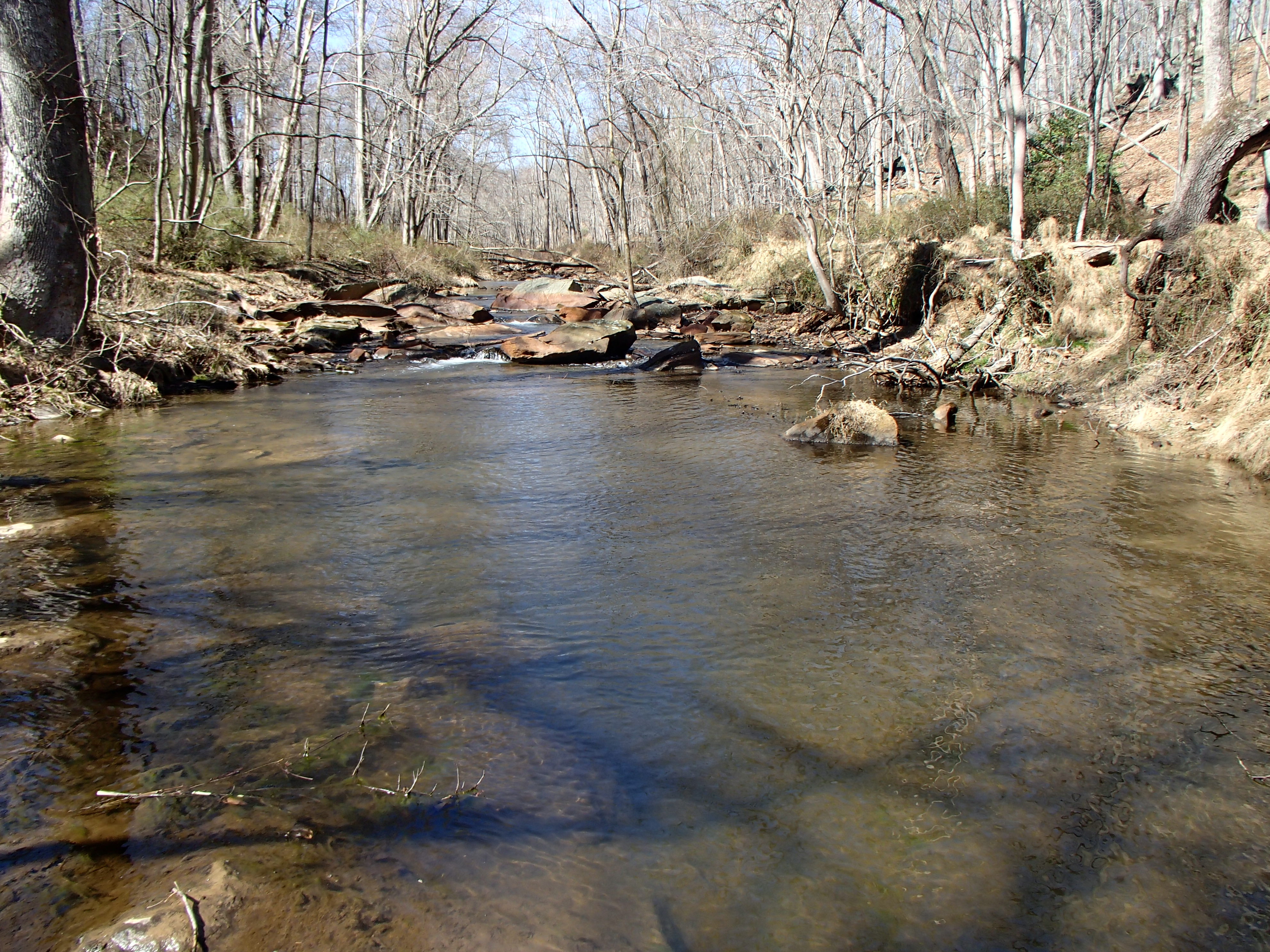 Field photo showing stream conditions at site SBPA-206-X-2017-MidpointLookingUpstream
