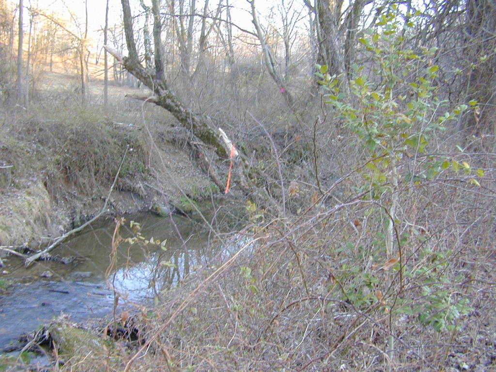 Field photo showing stream conditions at site SBPA-207-R-2000-02