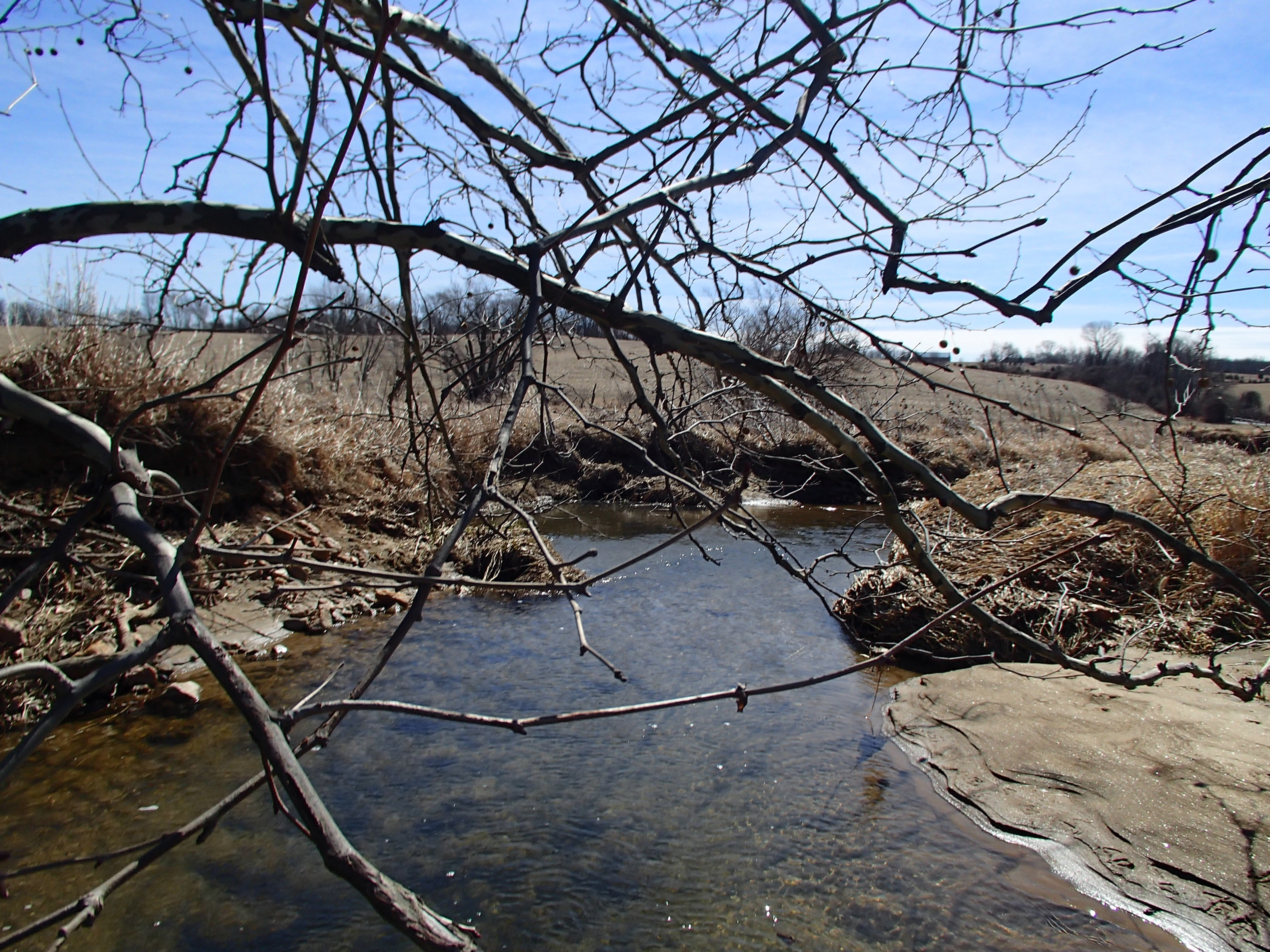 Field photo showing stream conditions at site SBPA-207-X-2015_Midpoint-at-P-looking-downstream