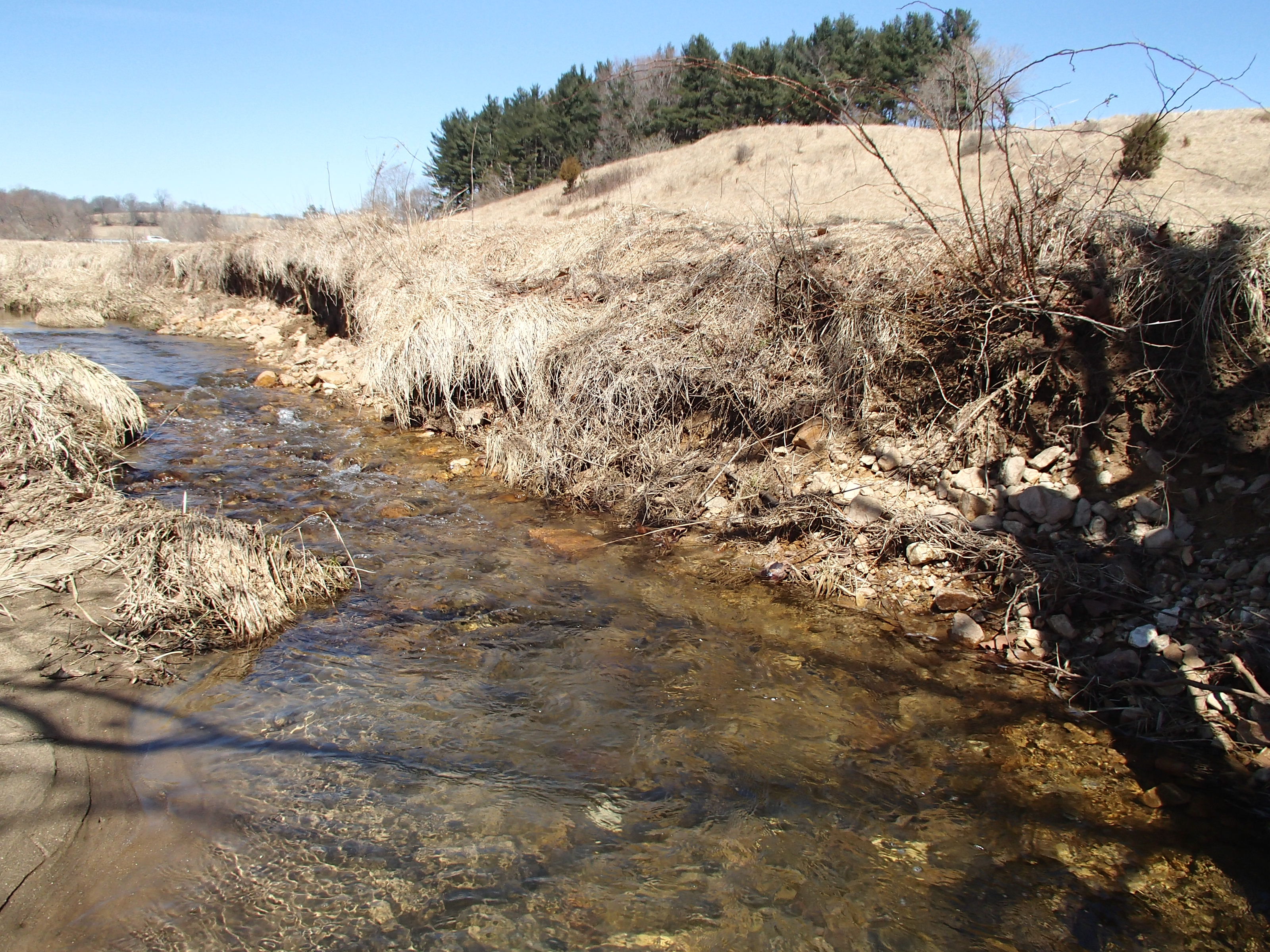 Field photo showing stream conditions at site SBPA-207-X-2015_Midpoint-at-P-looking-upstream