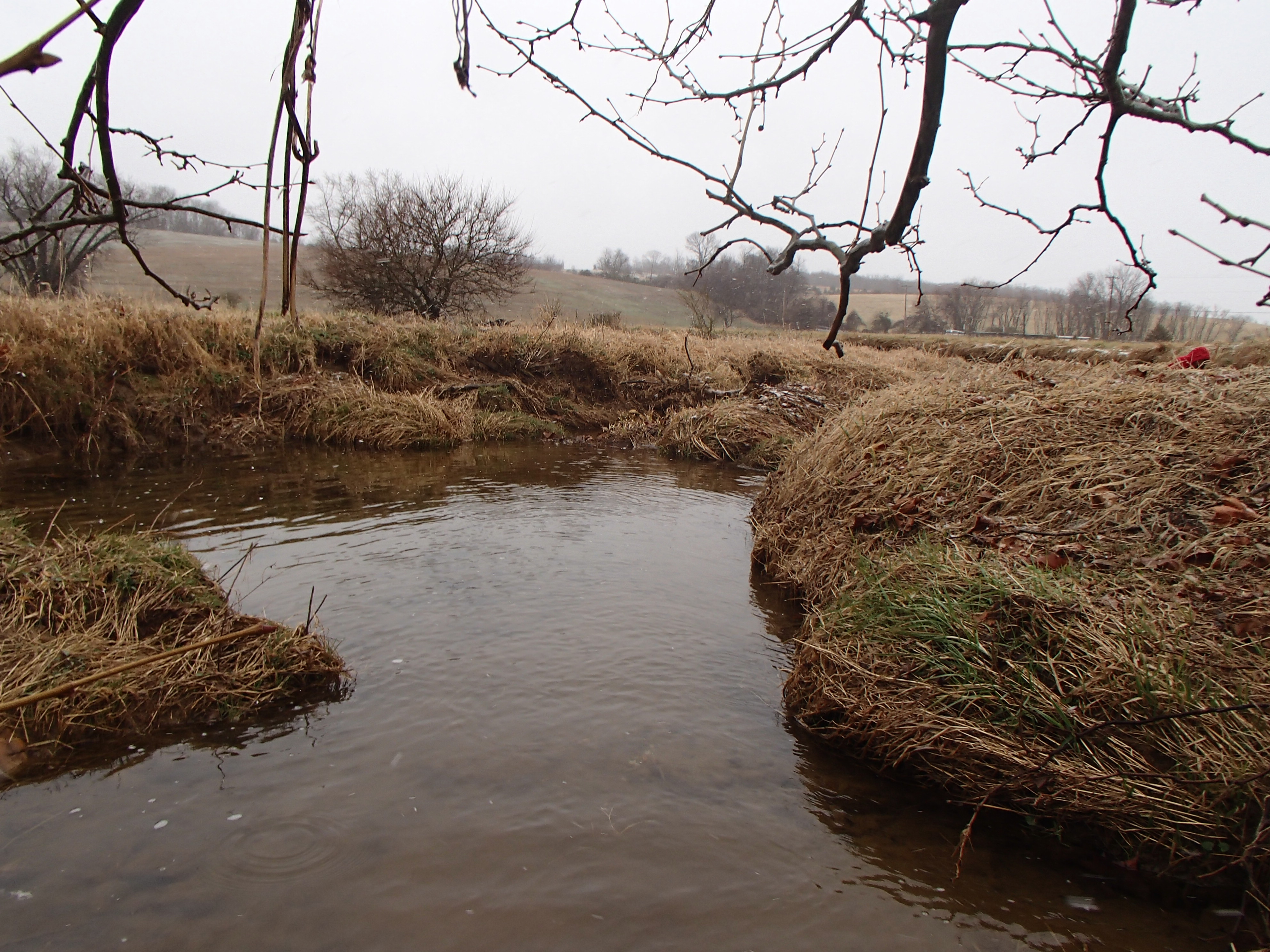 Field photo showing stream conditions at site SBPA-207-X-2017-MidpointFacingDownstream