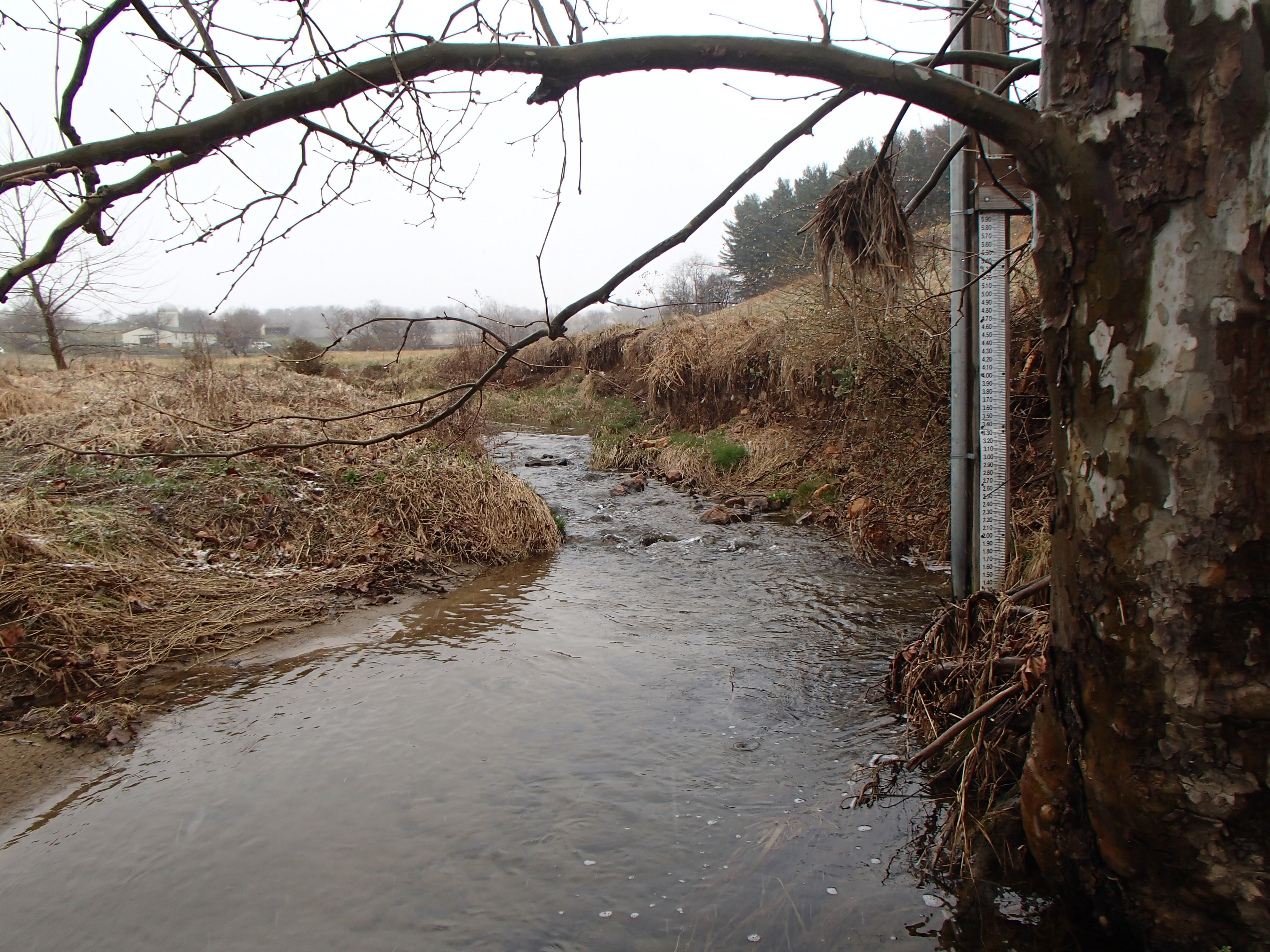 Field photo showing stream conditions at site SBPA-207-X-2017-MidpointFacingUpstream