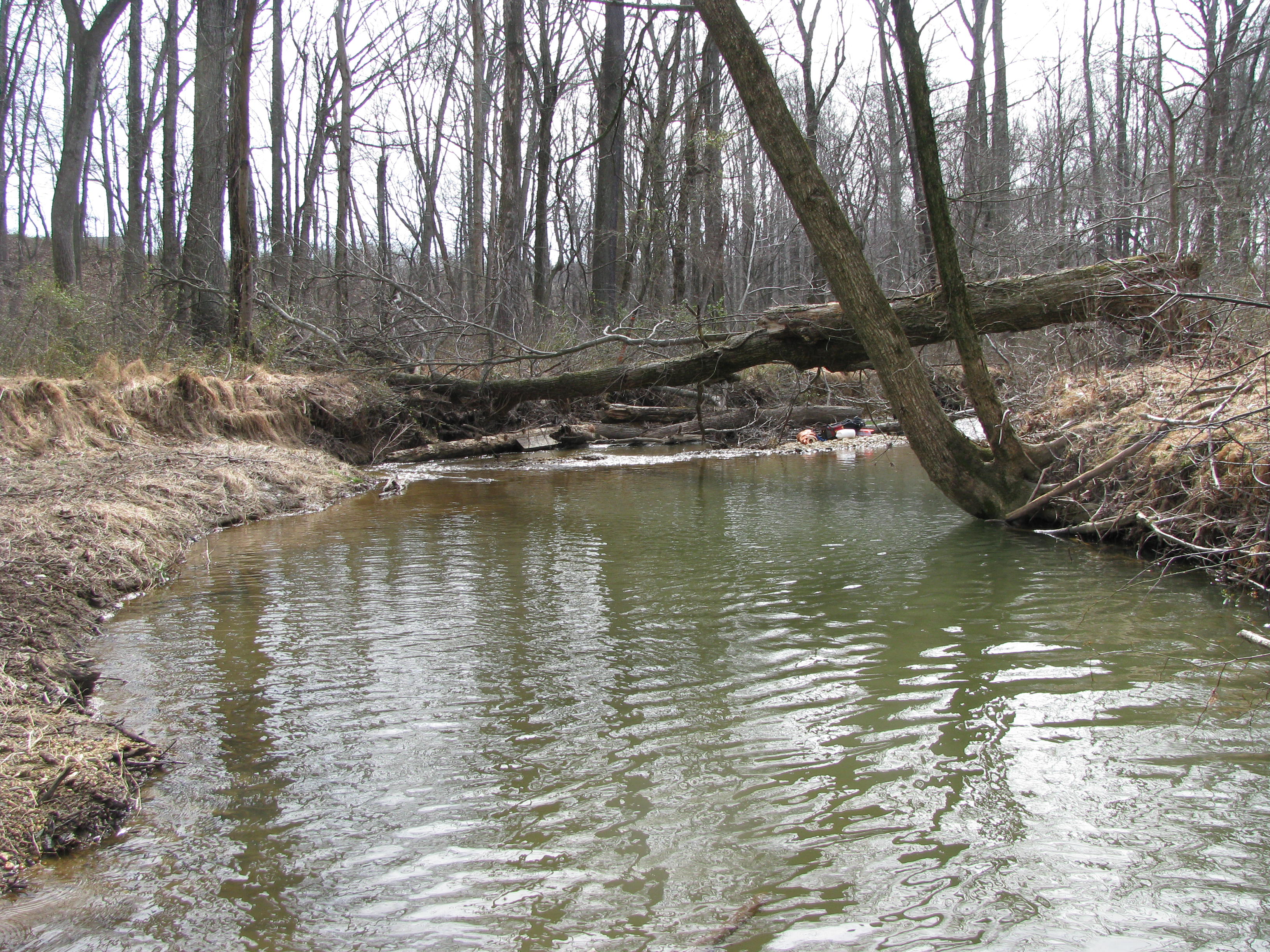 Field photo showing stream conditions at site SBPA-222-A-2012-2