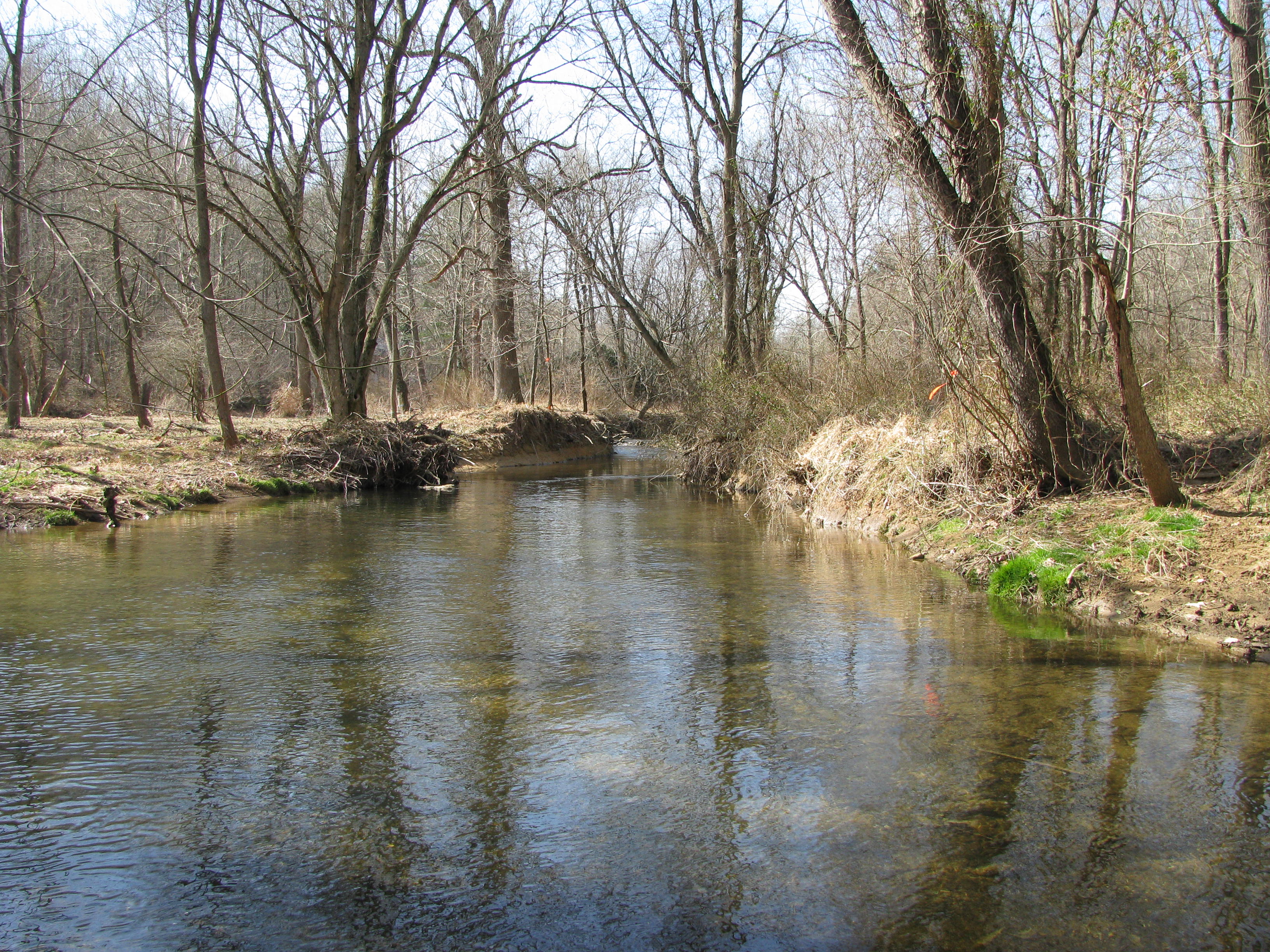 Field photo showing stream conditions at site SBPA-232-A-2012-1