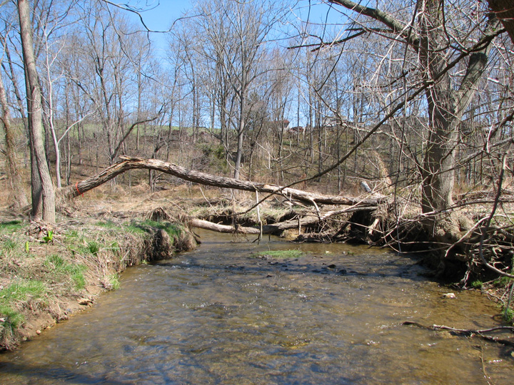 Field photo showing stream conditions at site SBPA-292-A-2007-1