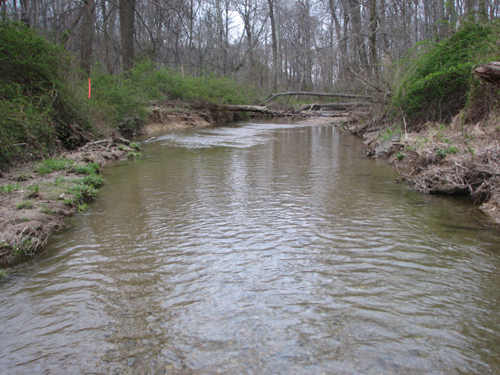 Field photo showing stream conditions at site SBPA-298-A-2007-1