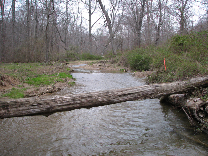 Field photo showing stream conditions at site SBPA-298-A-2007-2