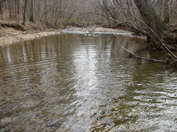 Field photo showing stream conditions at site SBPA-302-A-2008-1