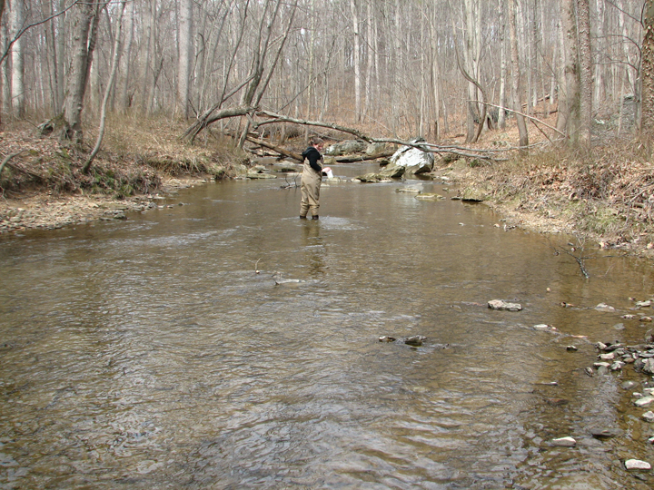 Field photo showing stream conditions at site SBPA-302-A-2008-2