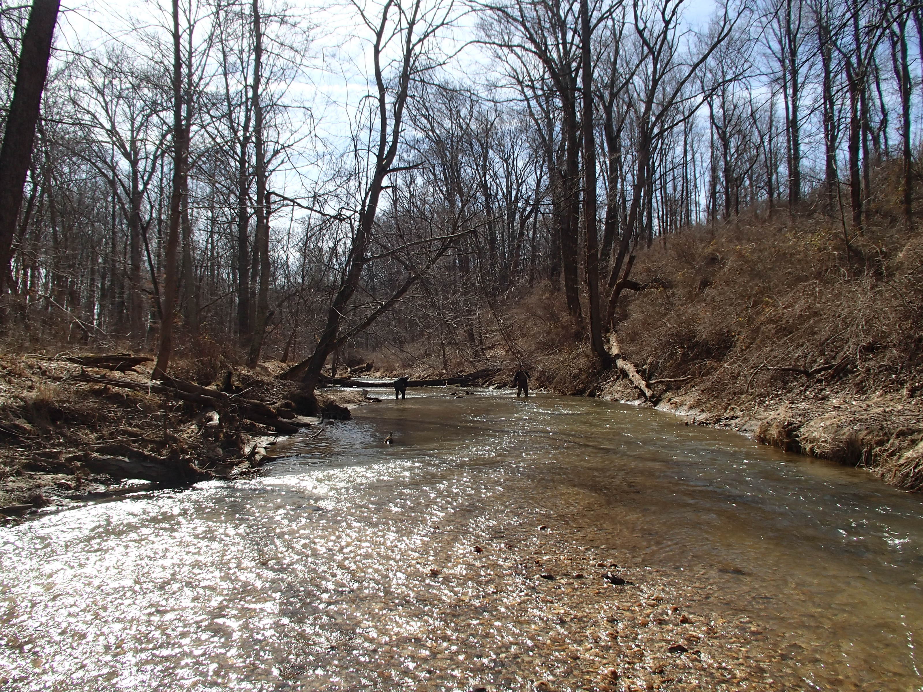 Field photo showing stream conditions at site SBPA-302-X-2015_Midpoint-looking-downstream