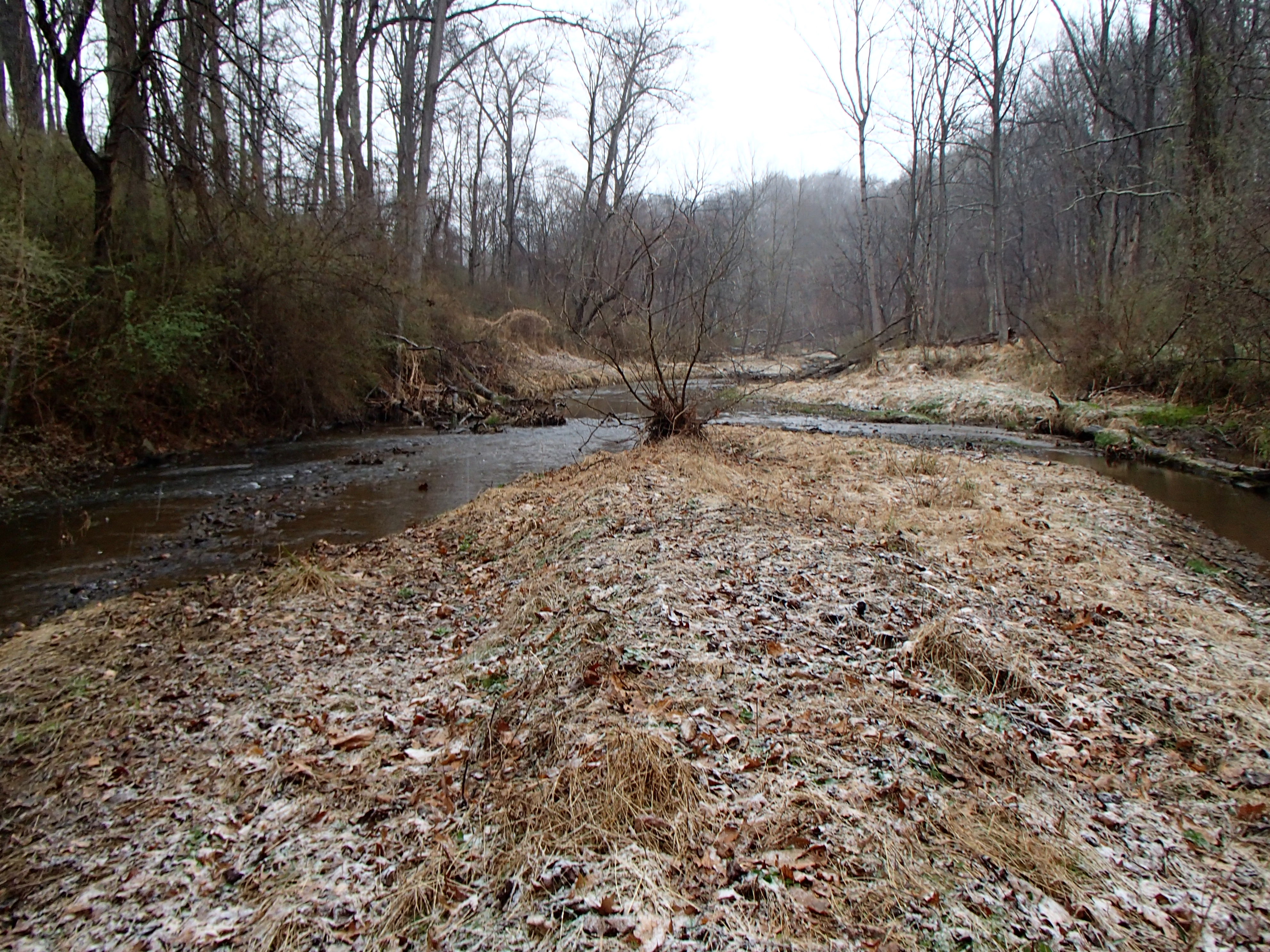 Field photo showing stream conditions at site SBPA-302-X-2017-MidpointFacingUpstream