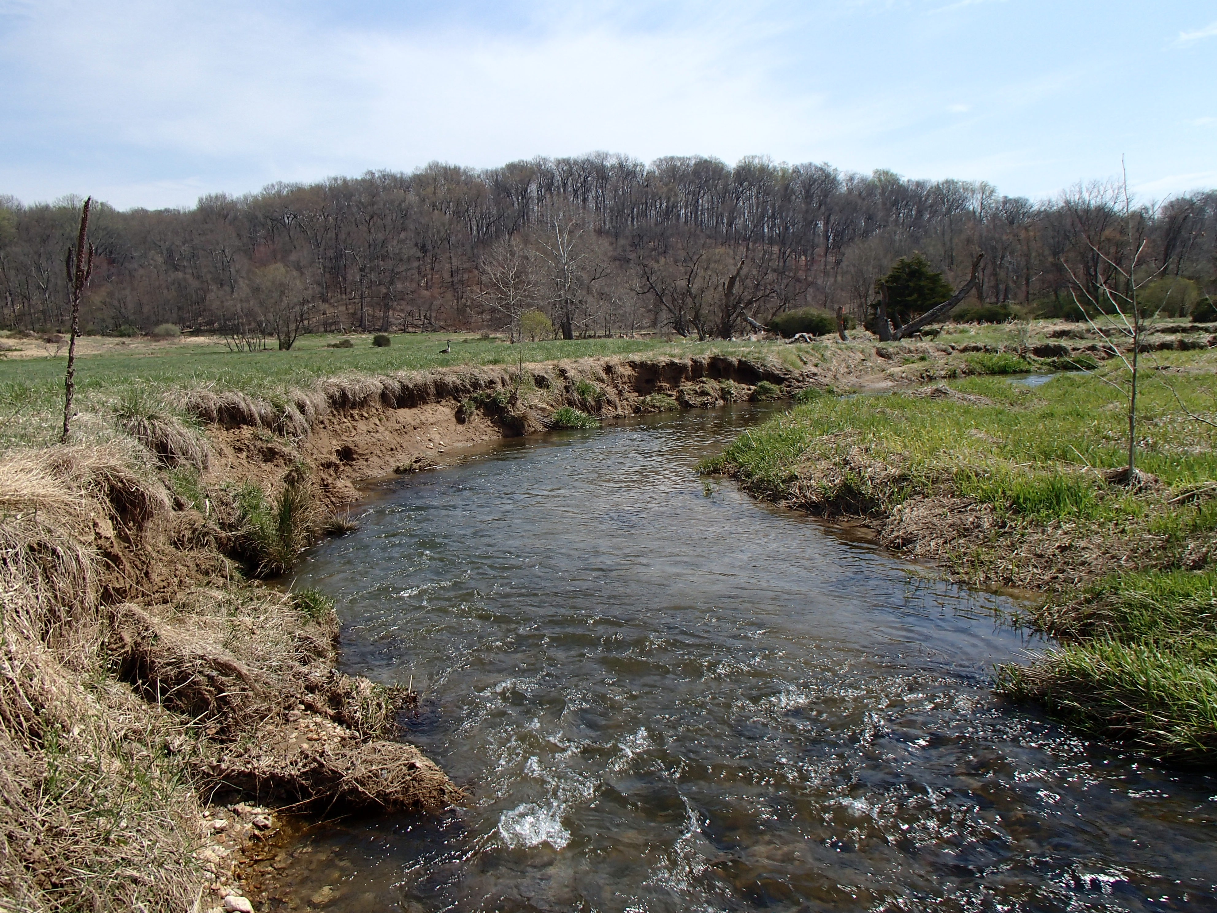 Field photo showing stream conditions at site SBPA-303-X-2014-2