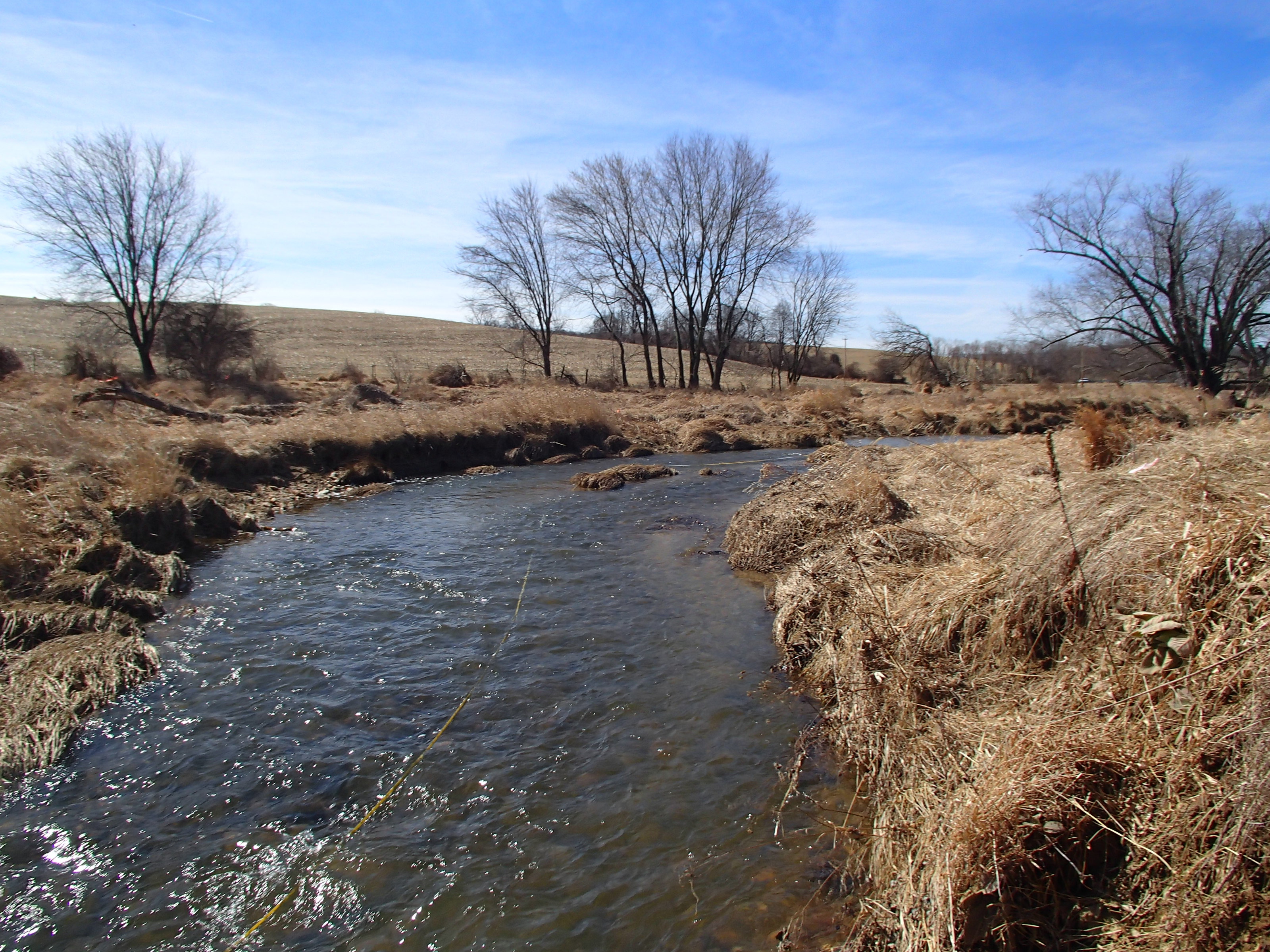 Field photo showing stream conditions at site SBPA-303-X-2015_Midpoint-looking-upstream