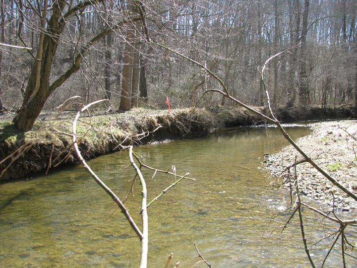 Field photo showing stream conditions at site SBPA-315-A-2009-1
