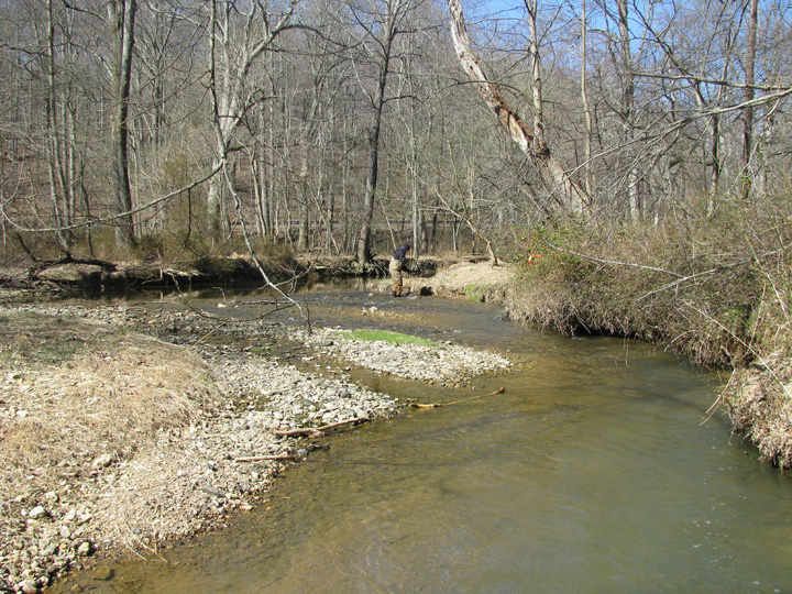 Field photo showing stream conditions at site SBPA-315-A-2009-2