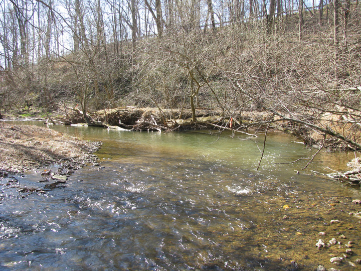 Field photo showing stream conditions at site SBPA-316-A-2009-1
