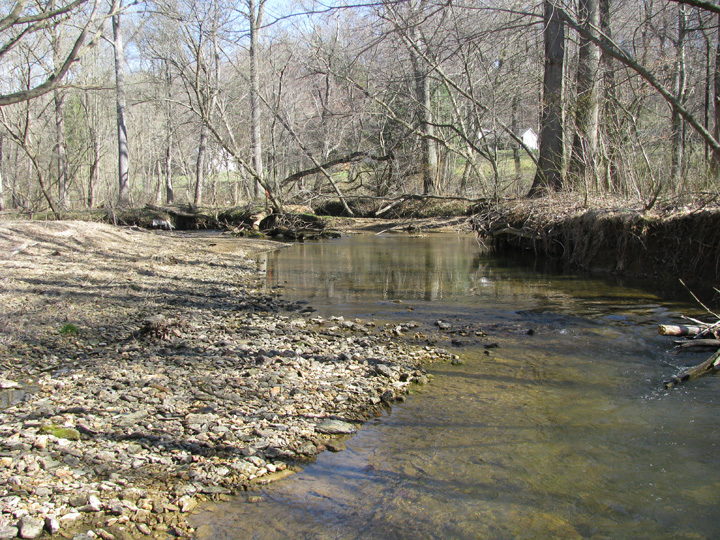 Field photo showing stream conditions at site SBPA-316-A-2009-2