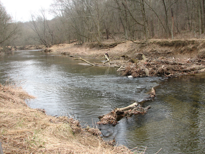 Field photo showing stream conditions at site SBPA-401-A-2008-1
