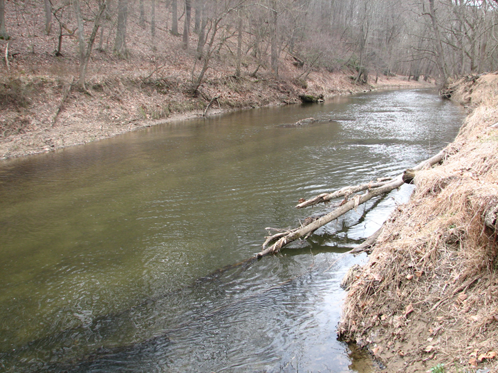 Field photo showing stream conditions at site SBPA-401-A-2008-2
