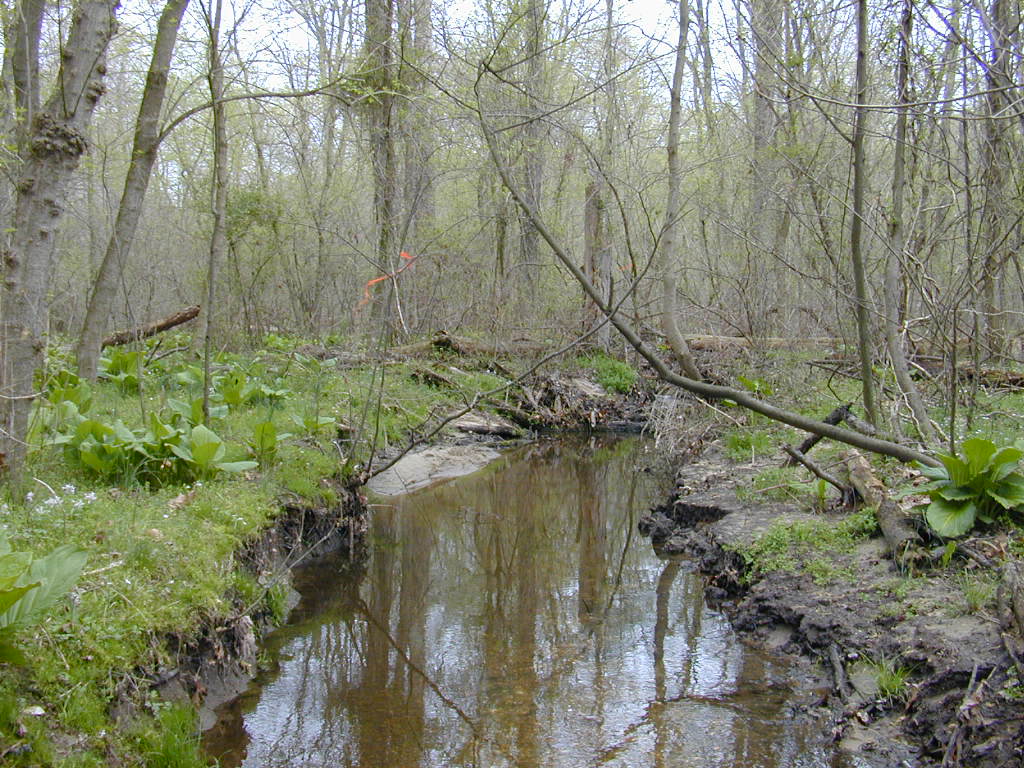Field photo showing stream conditions at site SEAS-109-R-2000-01