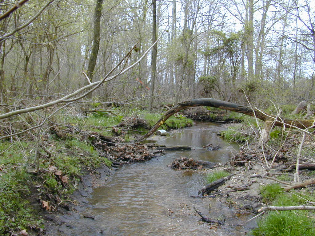 Field photo showing stream conditions at site SEAS-109-R-2000-02