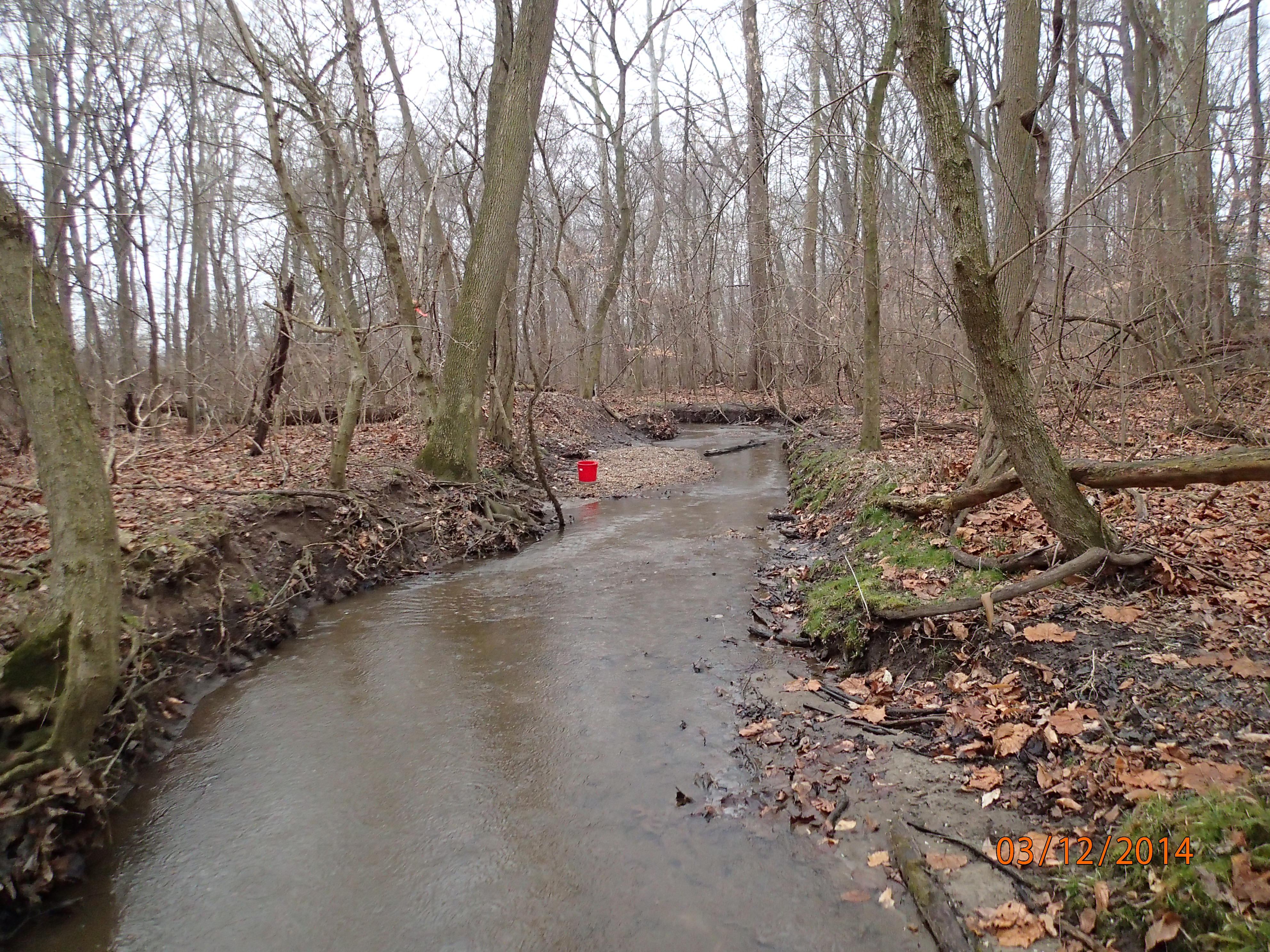 Field photo showing stream conditions at site SEAS-109-R-2014-MidpointDownstream