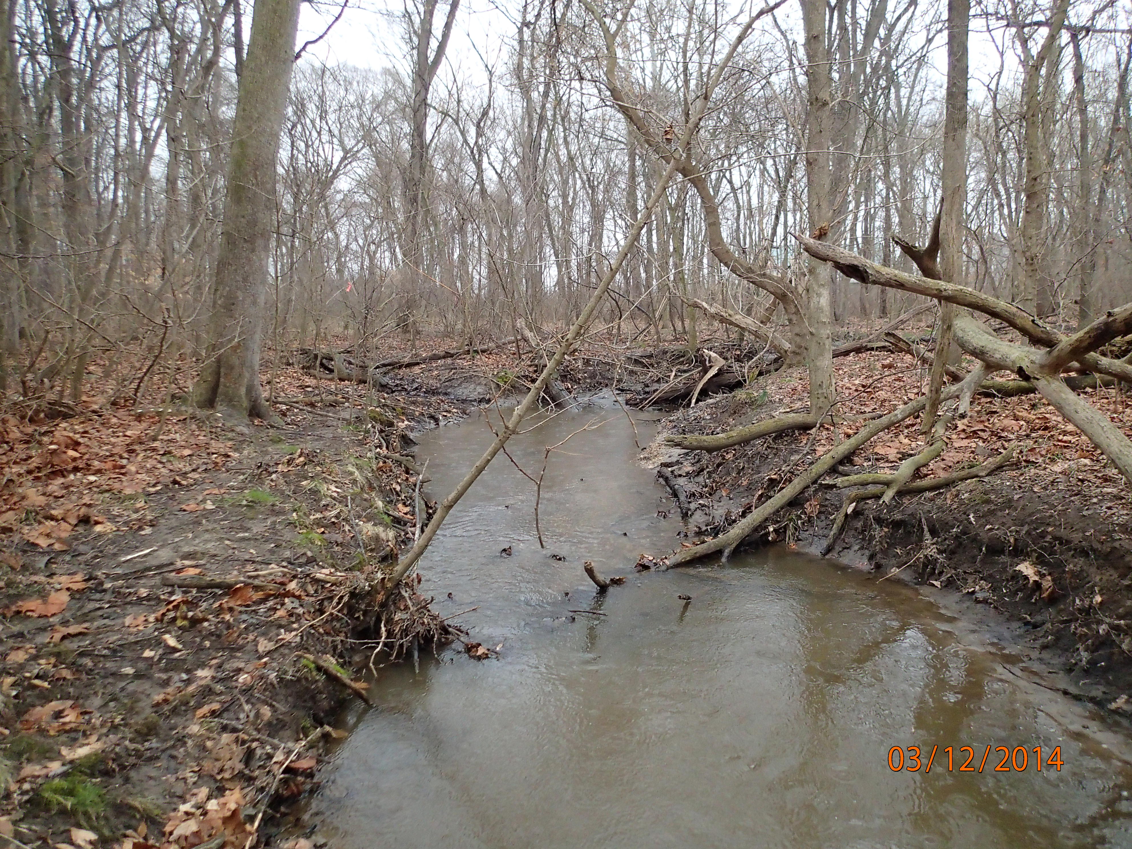 Field photo showing stream conditions at site SEAS-109-R-2014-MidpointUpstream