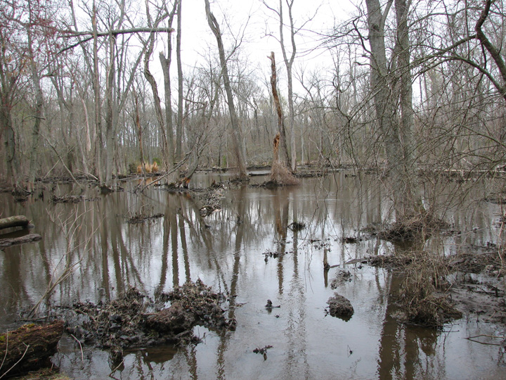 Field photo showing stream conditions at site SEAS-111-B-2007-2