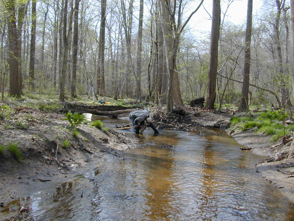 Field photo showing stream conditions at site SEAS-111-R-2000-01
