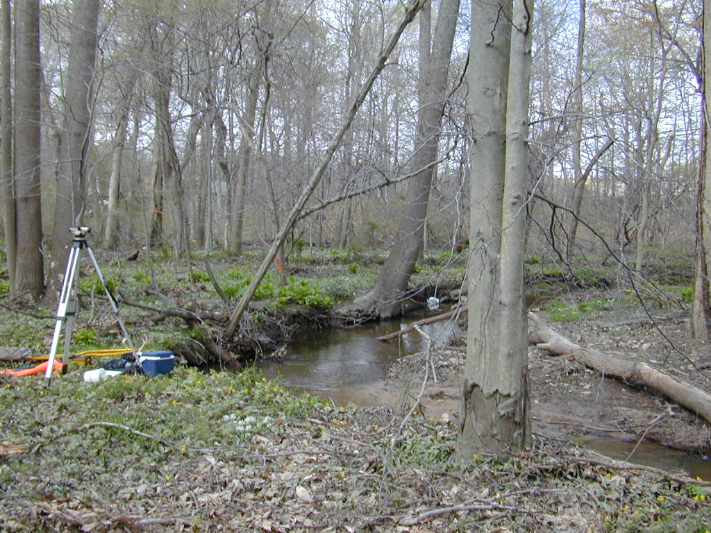 Field photo showing stream conditions at site SEAS-111-R-2000-02