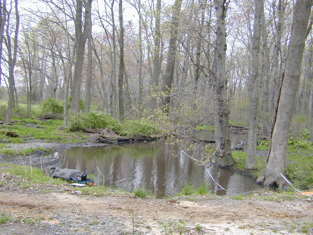 Field photo showing stream conditions at site SEAS-113-R-2000-01