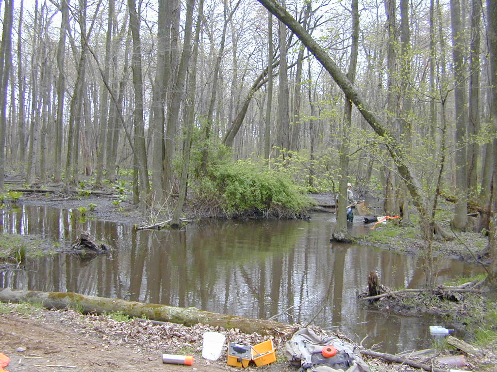 Field photo showing stream conditions at site SEAS-113-R-2000-02