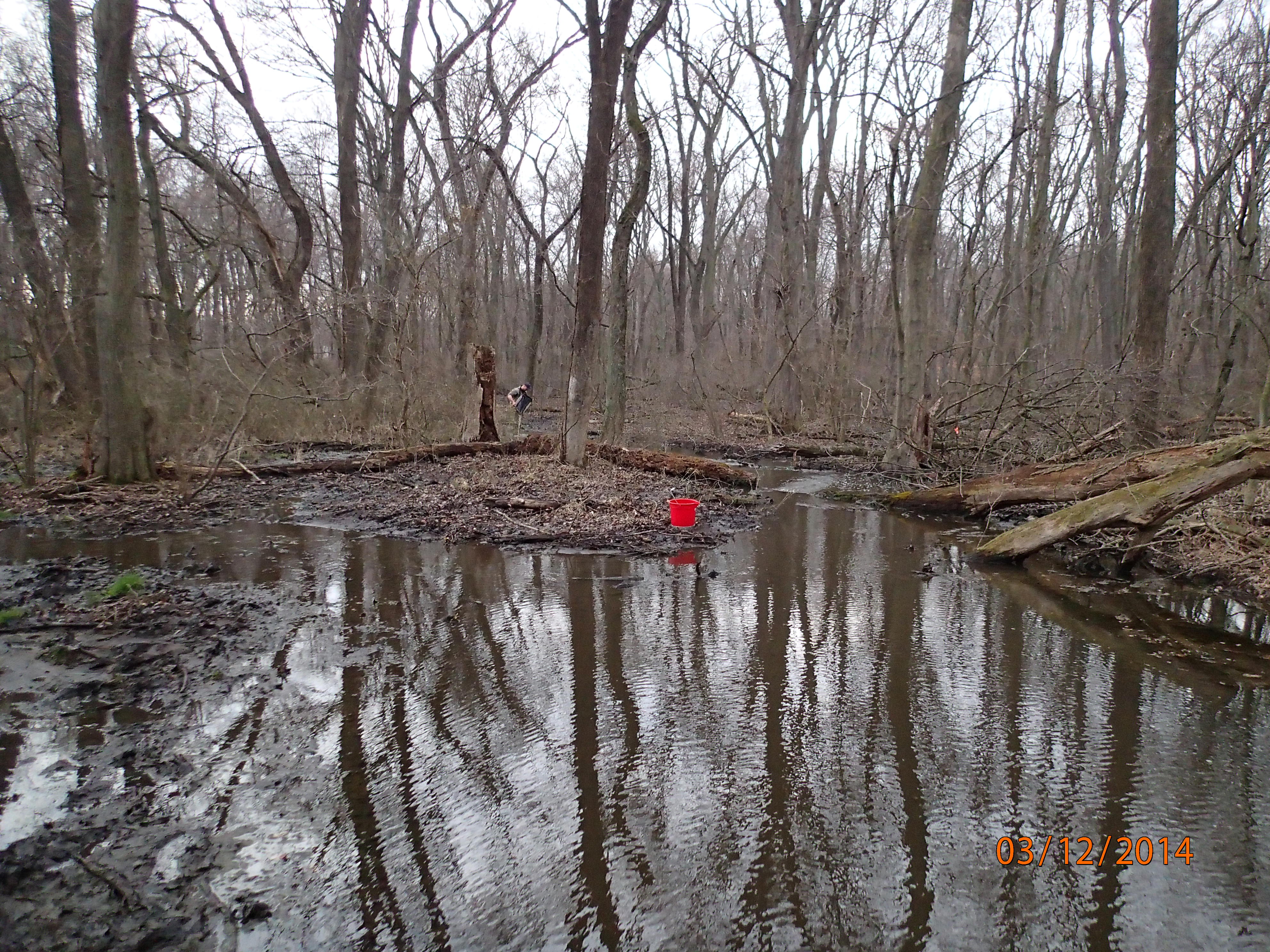 Field photo showing stream conditions at site SEAS-113-R-2014-MidpointDownstream