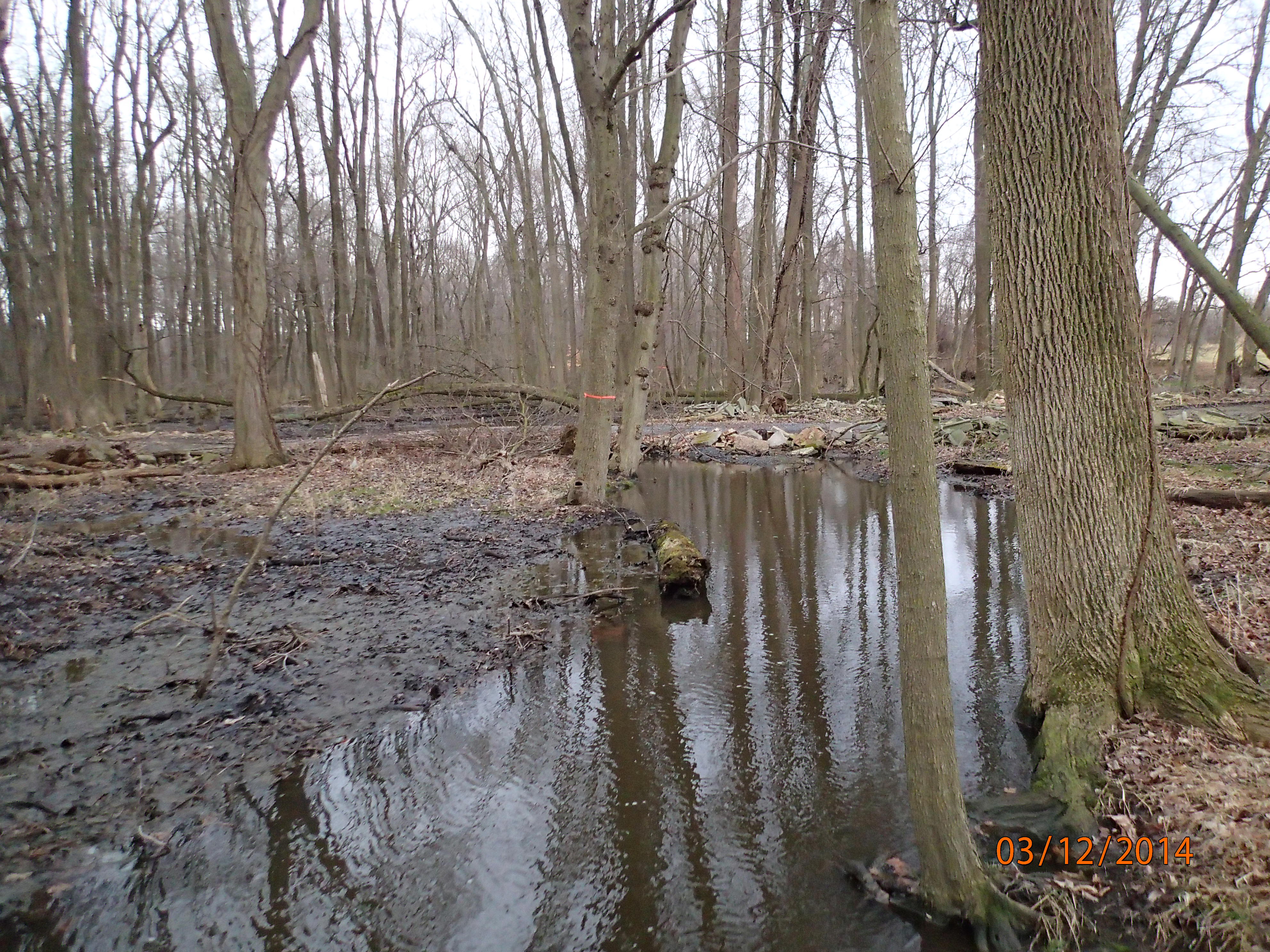 Field photo showing stream conditions at site SEAS-113-R-2014-MidpointUpstream