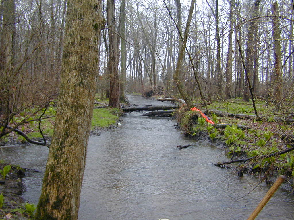 Field photo showing stream conditions at site SEAS-116-R-2000-01