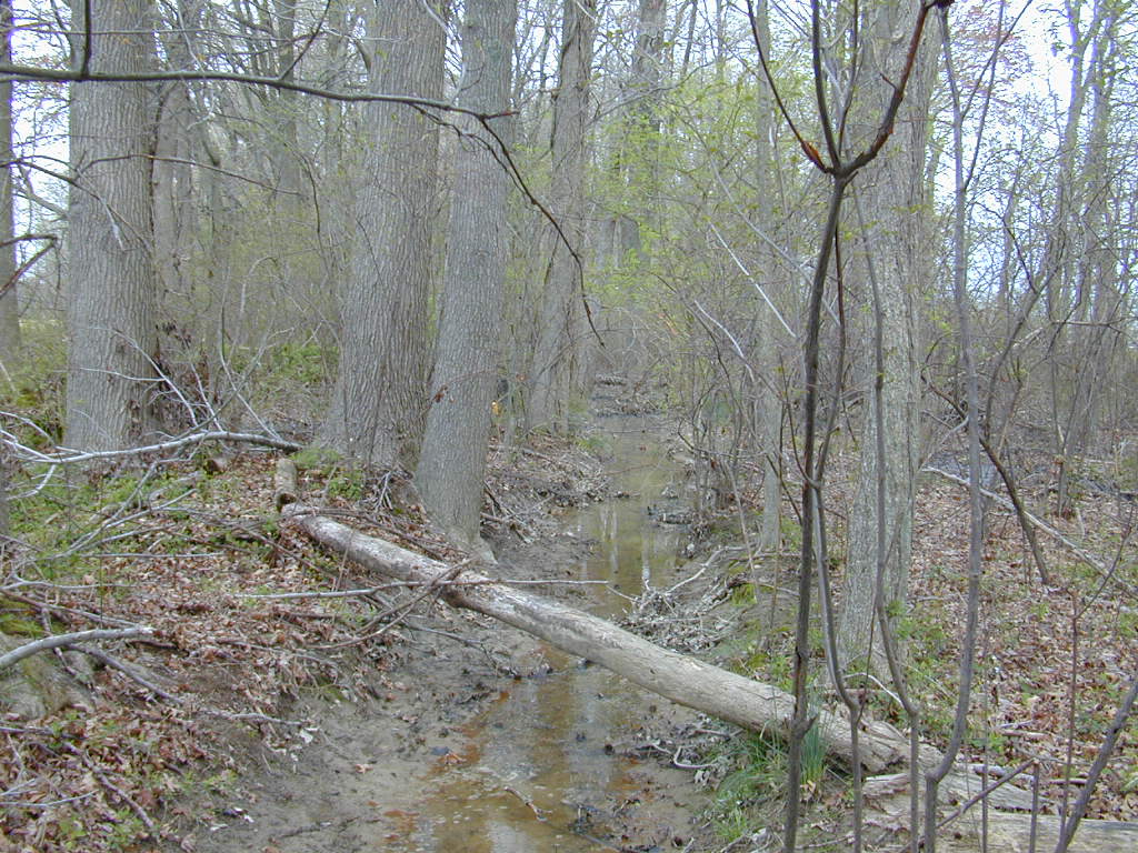 Field photo showing stream conditions at site SEAS-120-R-2000-01