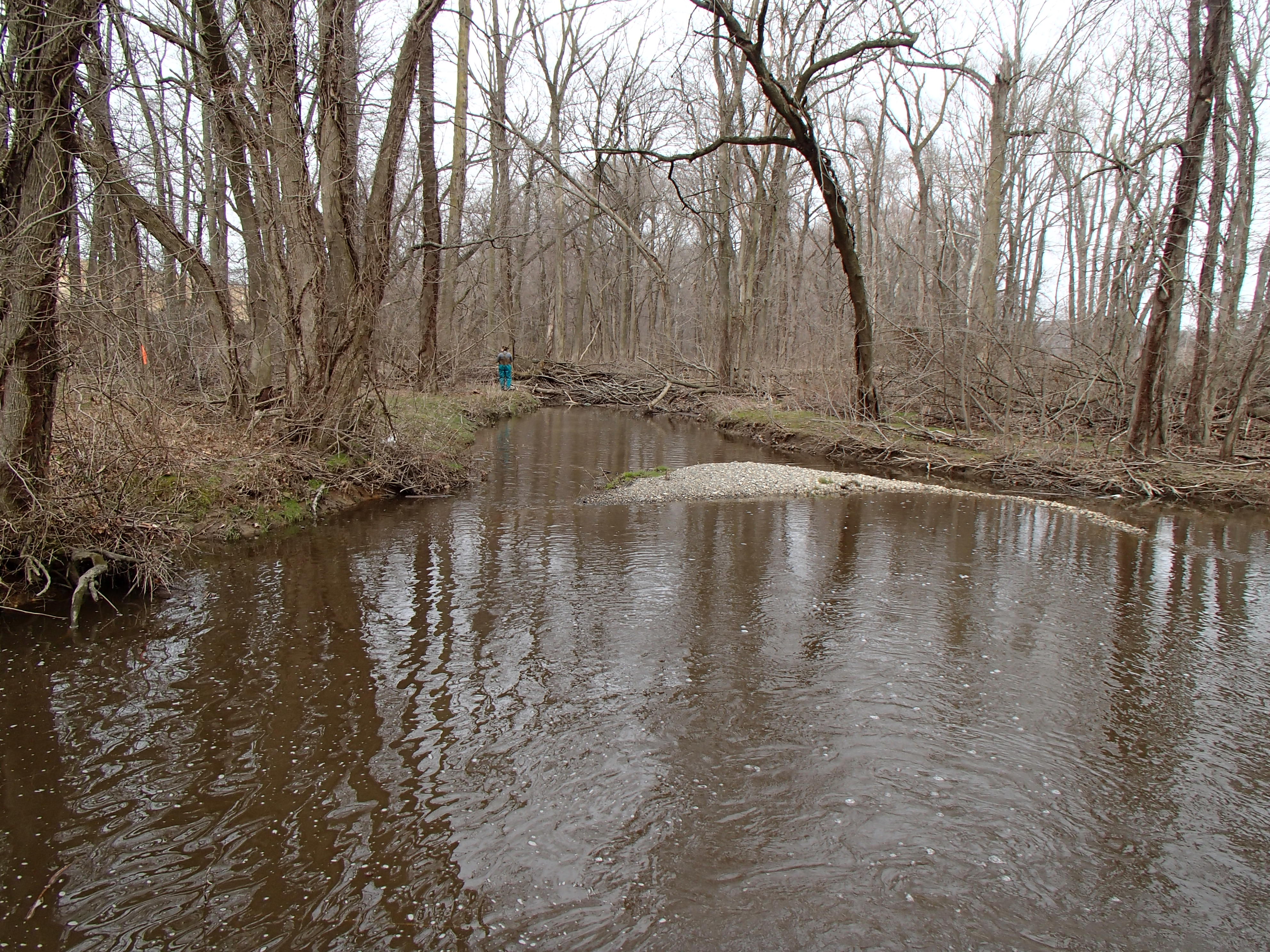 Field photo showing stream conditions at site SEAS-203-R-2015_Midpoint-downstream