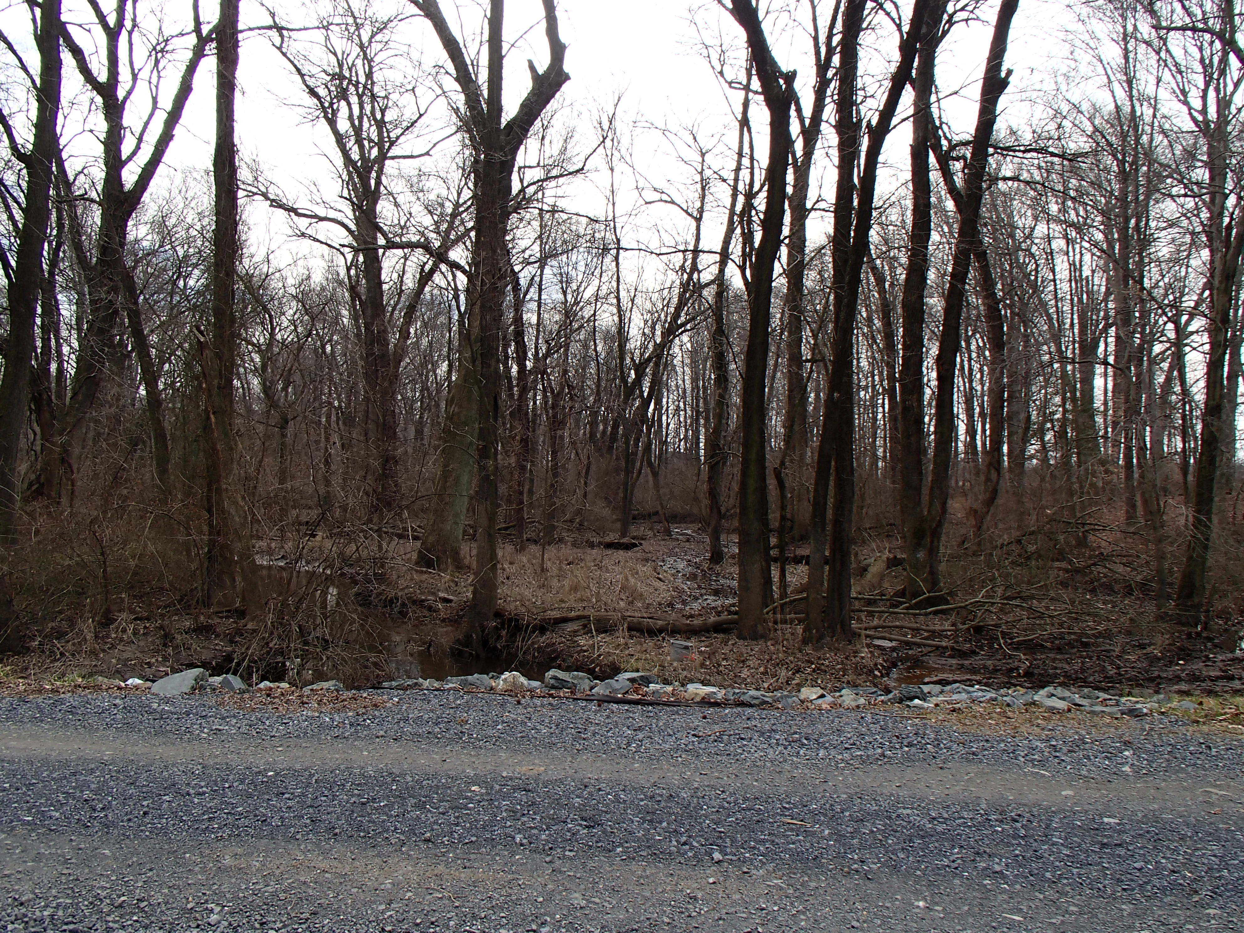 Field photo showing stream conditions at site SEAS-203-R-2015_Midpoint-upstream