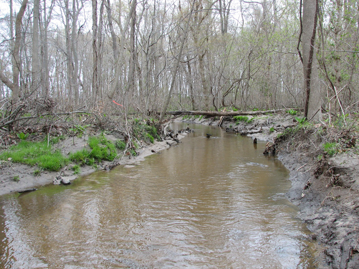 Field photo showing stream conditions at site SEAS-210-B-2007-1