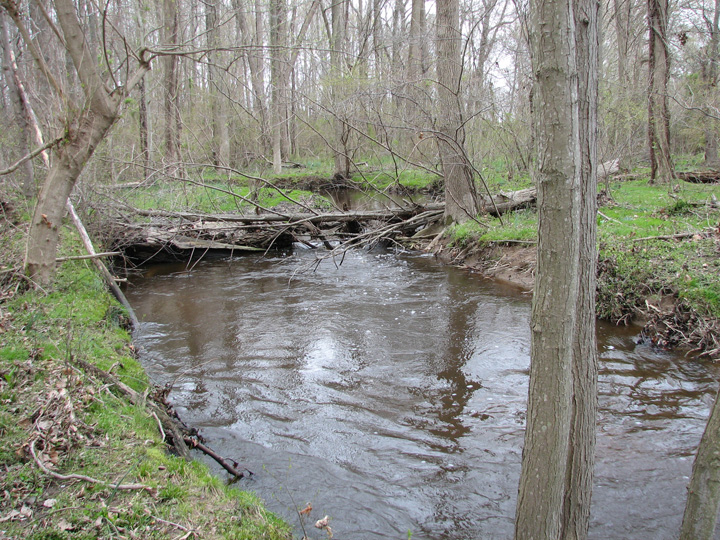 Field photo showing stream conditions at site SEAS-213-B-2007-1