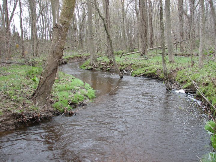 Field photo showing stream conditions at site SEAS-213-B-2007-2