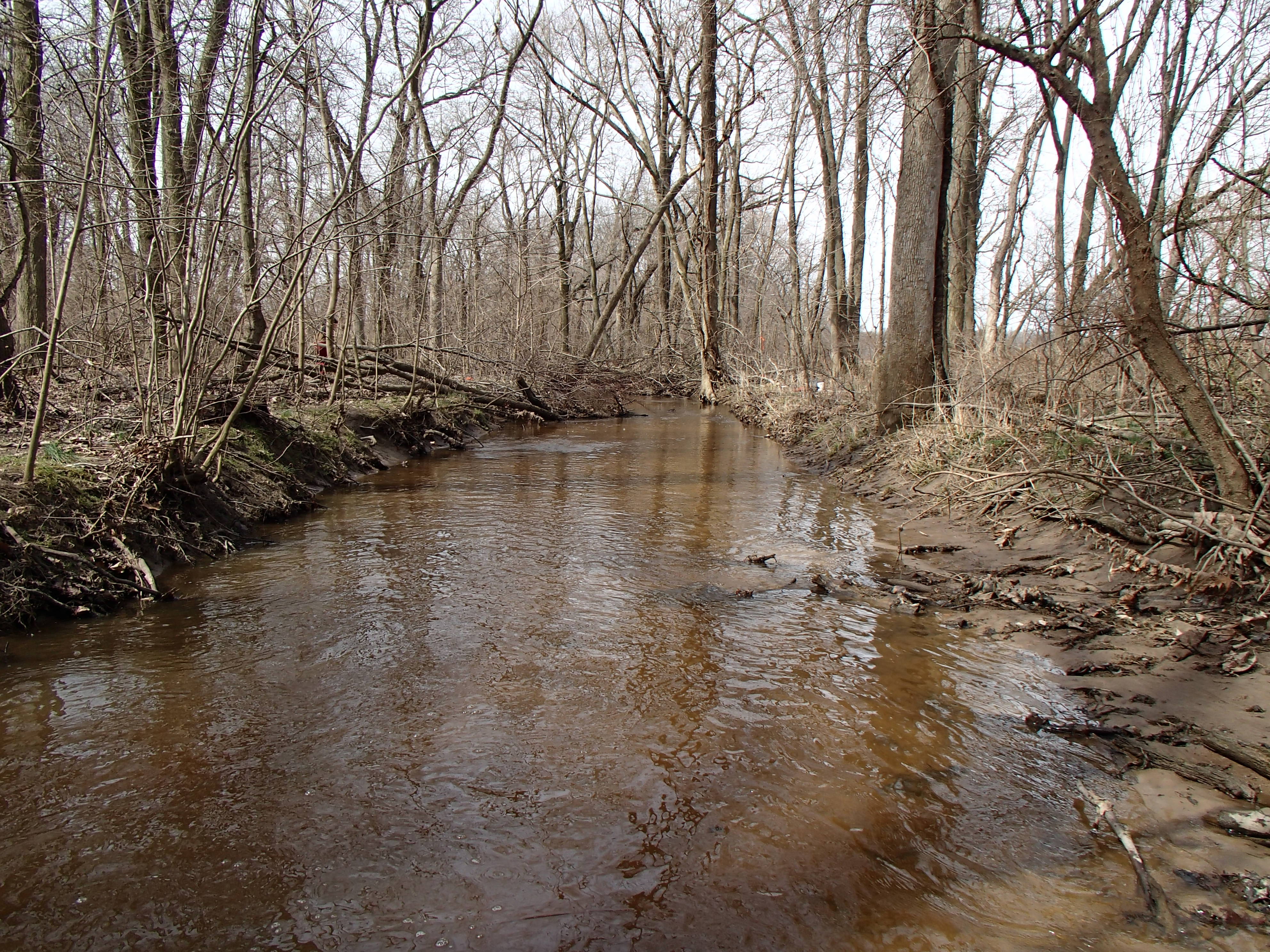 Field photo showing stream conditions at site SEAS-225-R-2015_Midpoint-looking-downstream
