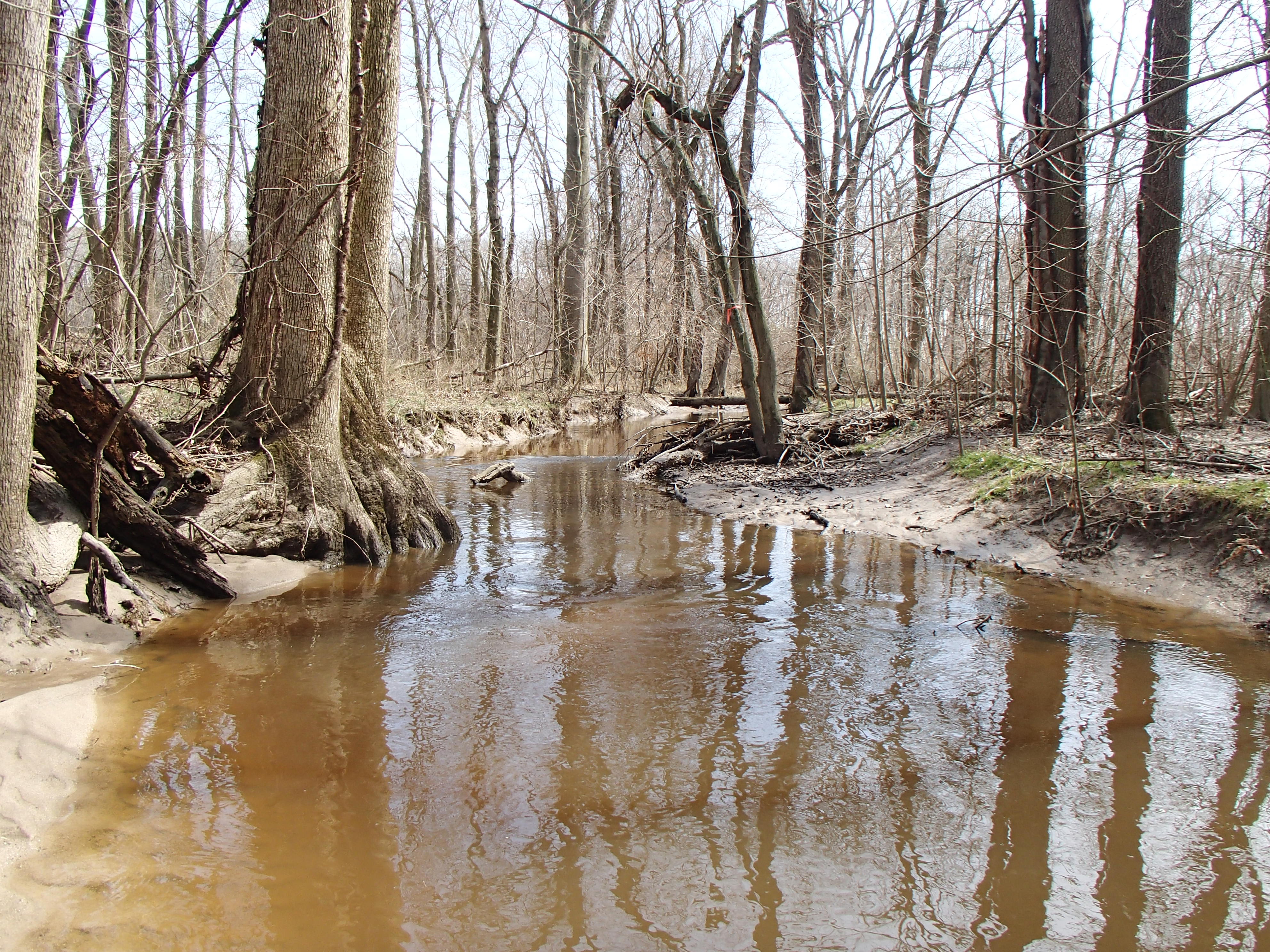 Field photo showing stream conditions at site SEAS-225-R-2015_Midpoint-looking-upstream